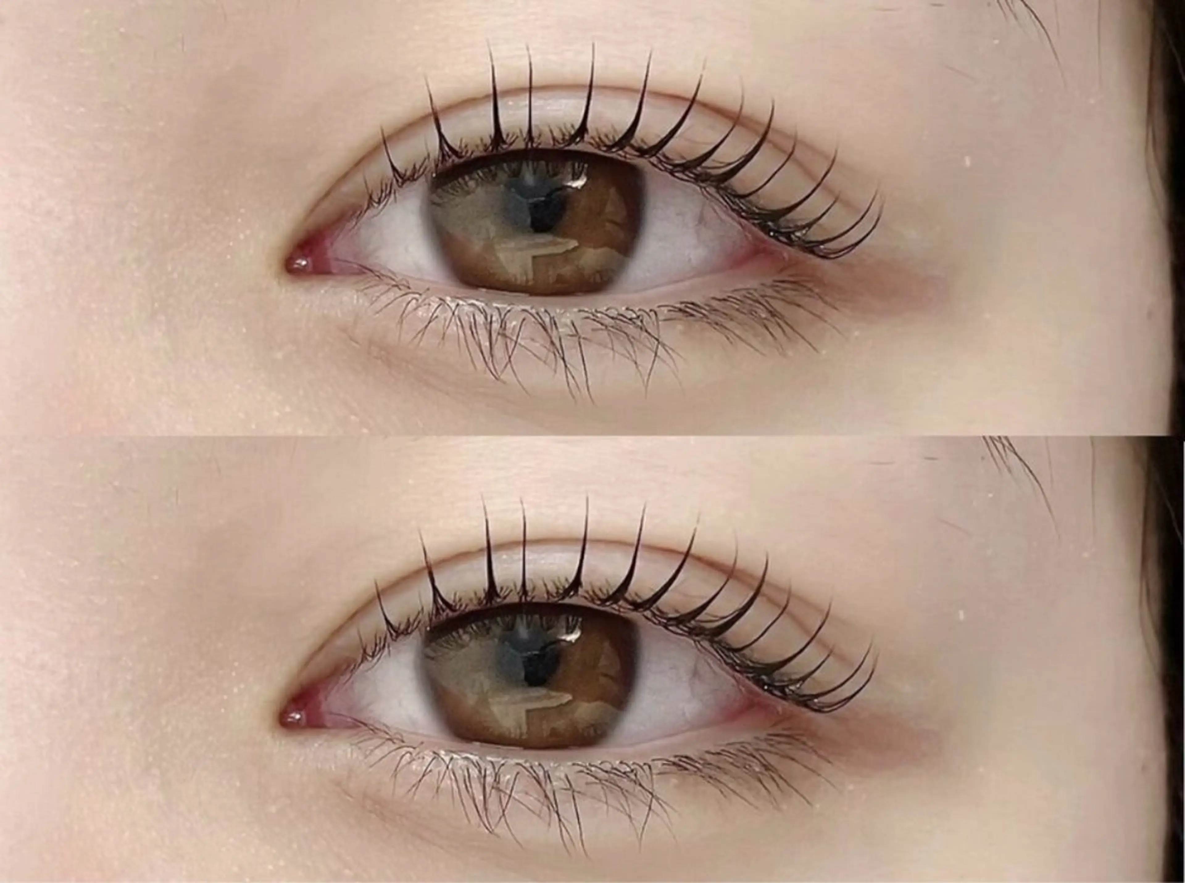 🧚🏻ラッシュリフトモデル🧚🏻の写真