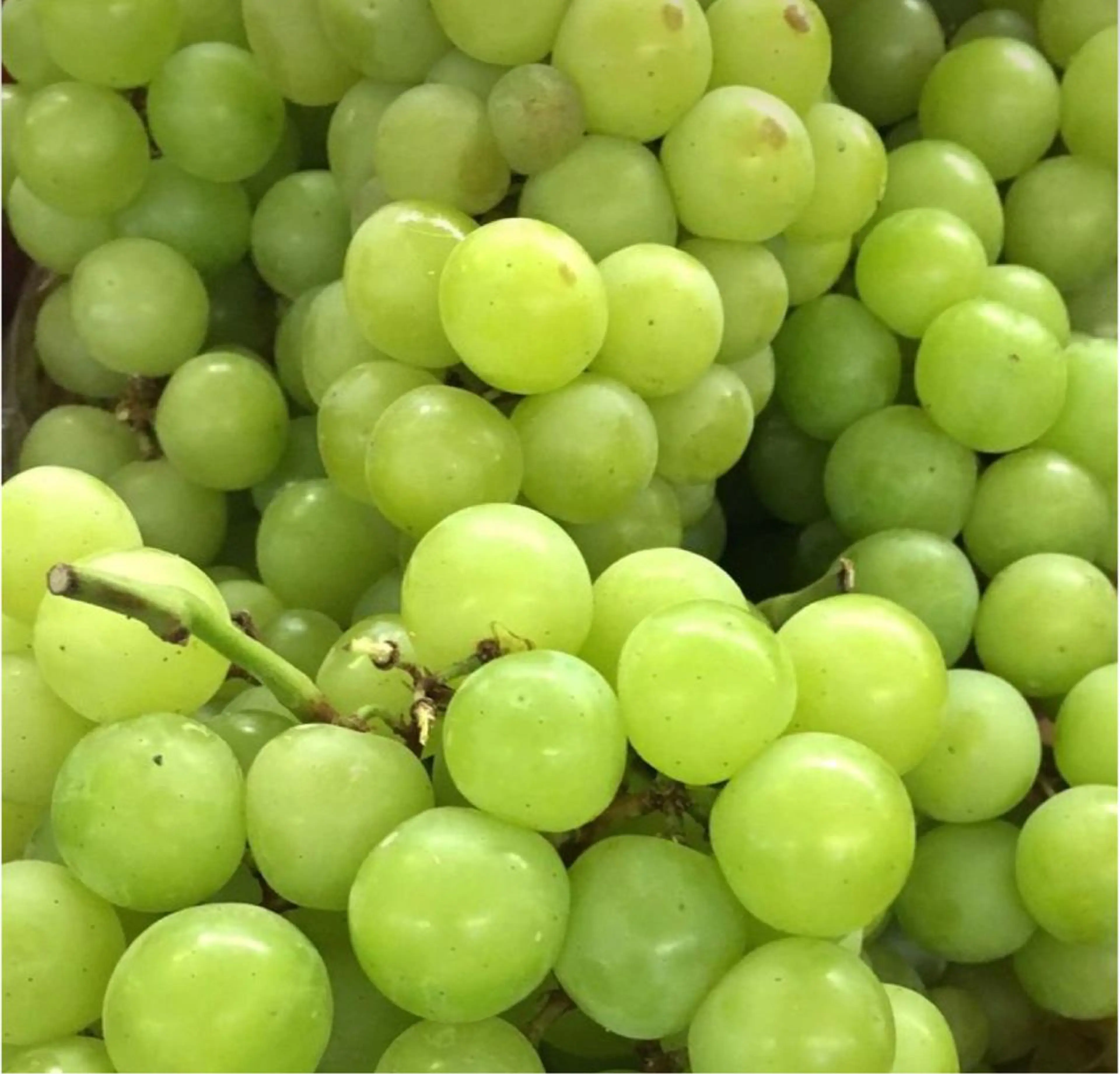 🫧縮毛矯正／カラー ／bless松浦🫧のヘアスタイル