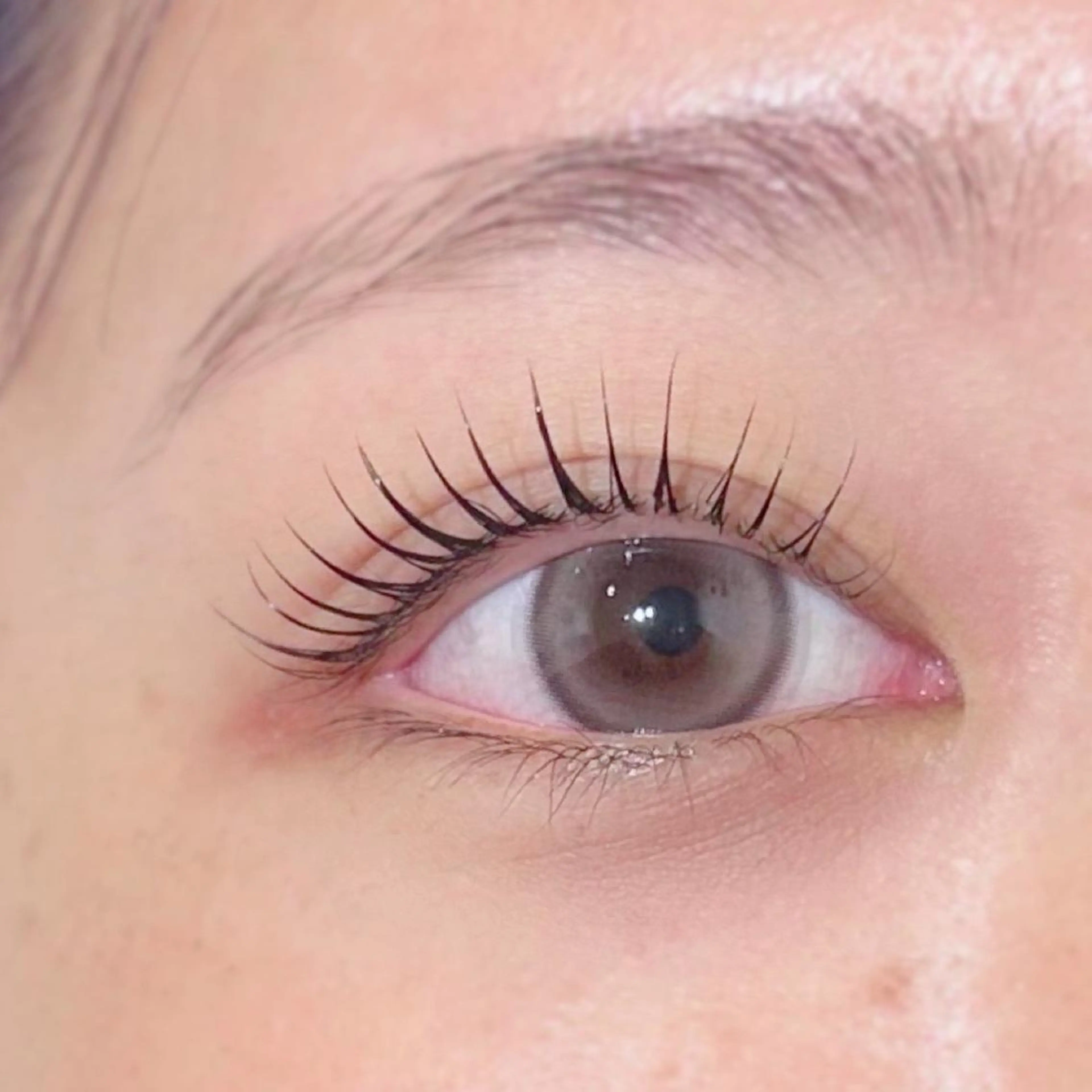 マツエク・マツパ 束感まつ毛 フラットラッシュ 韓国風マツエク パリジェンヌラッシュリフト まつげパーマ マツパ Biolus／天王寺 2号店🌸noa🌸のマツエク・マツパデザイン