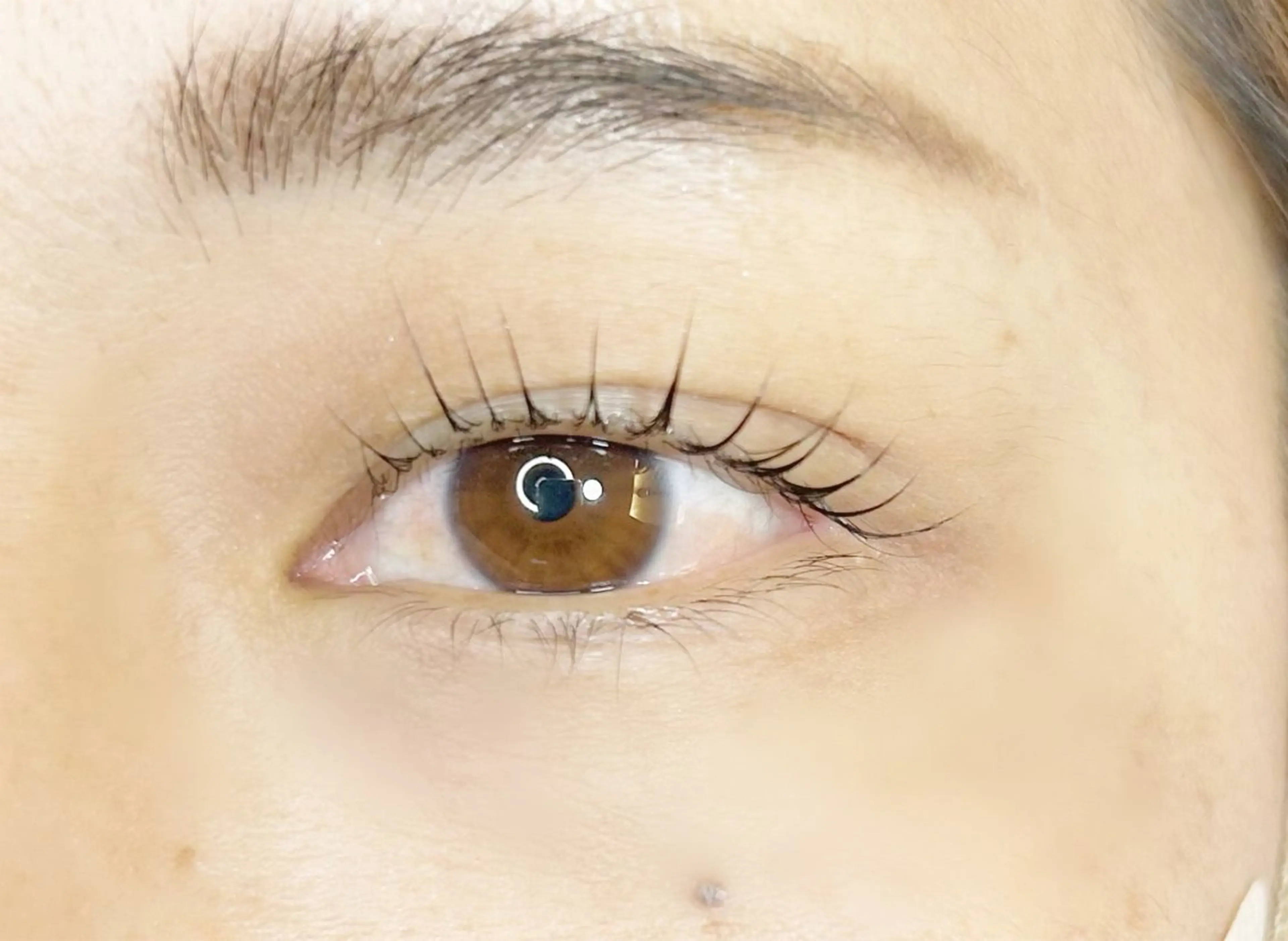 マツエク・マツパ Eyelash Lily🤍花塚のマツエク・マツパデザイン