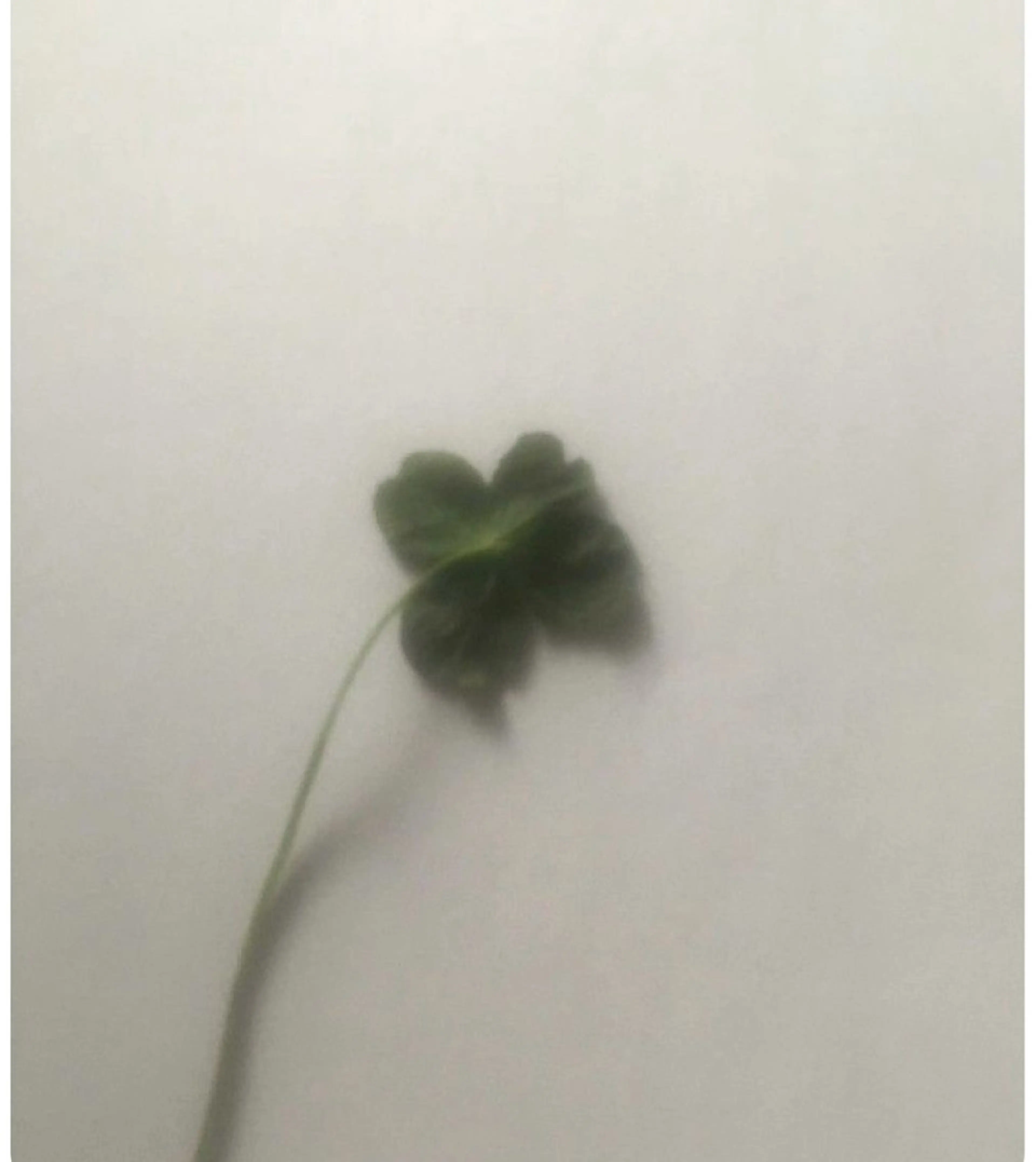 ショート メンズ メンズカットモデル 募集中🌟しおんのヘアスタイル