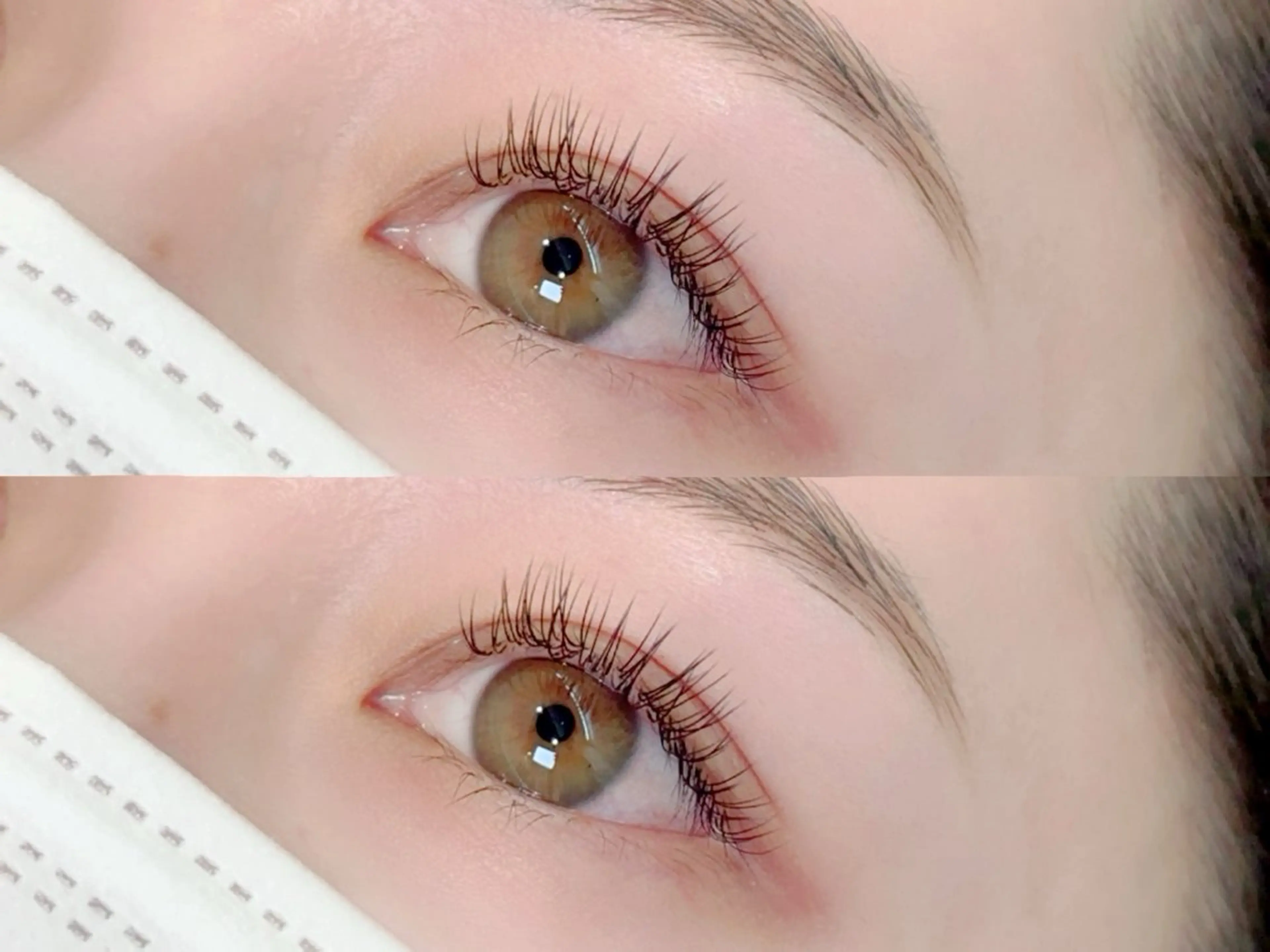 マツエク・マツパ 束感まつ毛 フラットラッシュ 韓国風マツエク ナチュラル マツエク Neo店長🌿 KOTONO🌿のマツエク・マツパデザイン