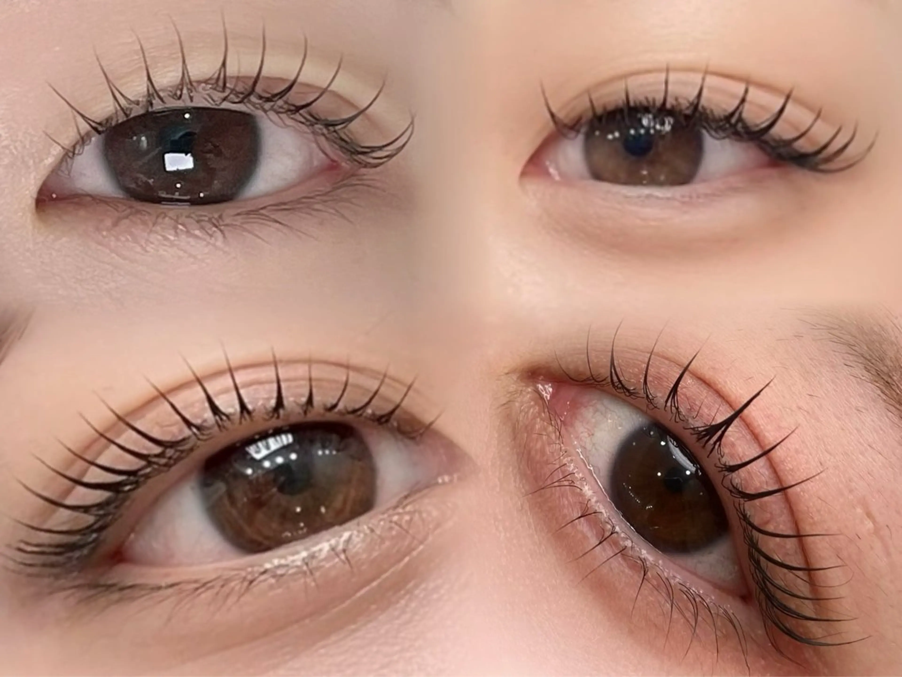 傷まない✨まつ毛パーマ❗️持続力upコーティング付🫧の写真