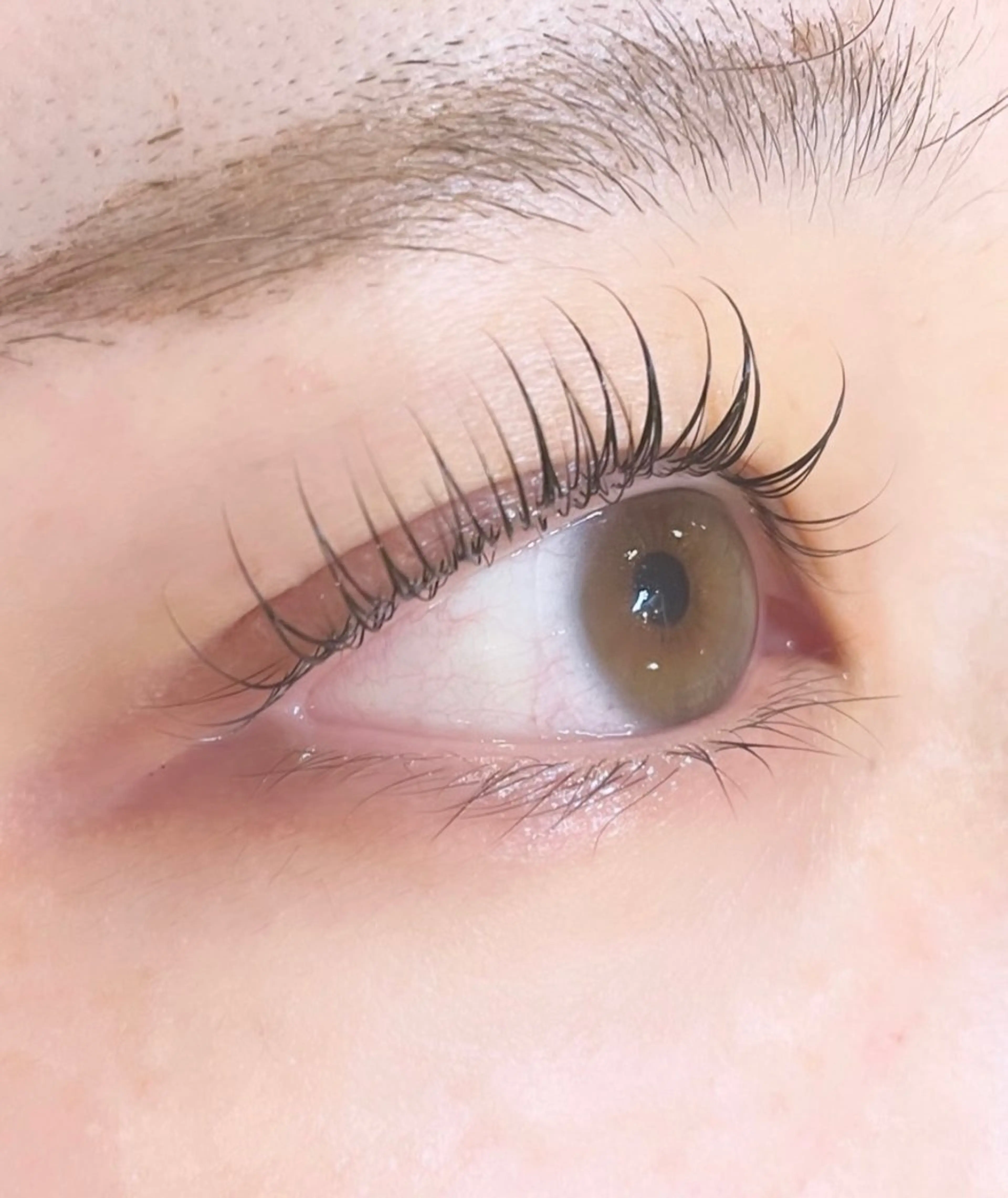 ★上まつ毛パーマ★ コーティング仕上げ付き👀の写真