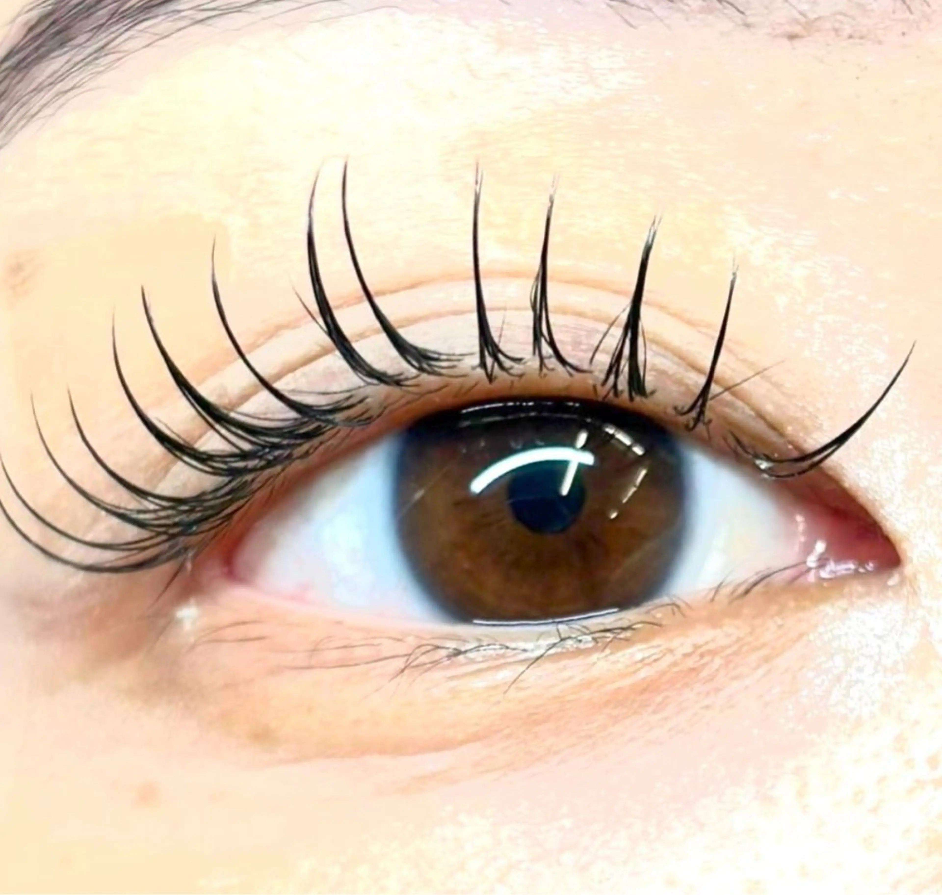 マツエク・マツパ カルフールノア大船/ Ririの眉毛・アイブロウイメージ