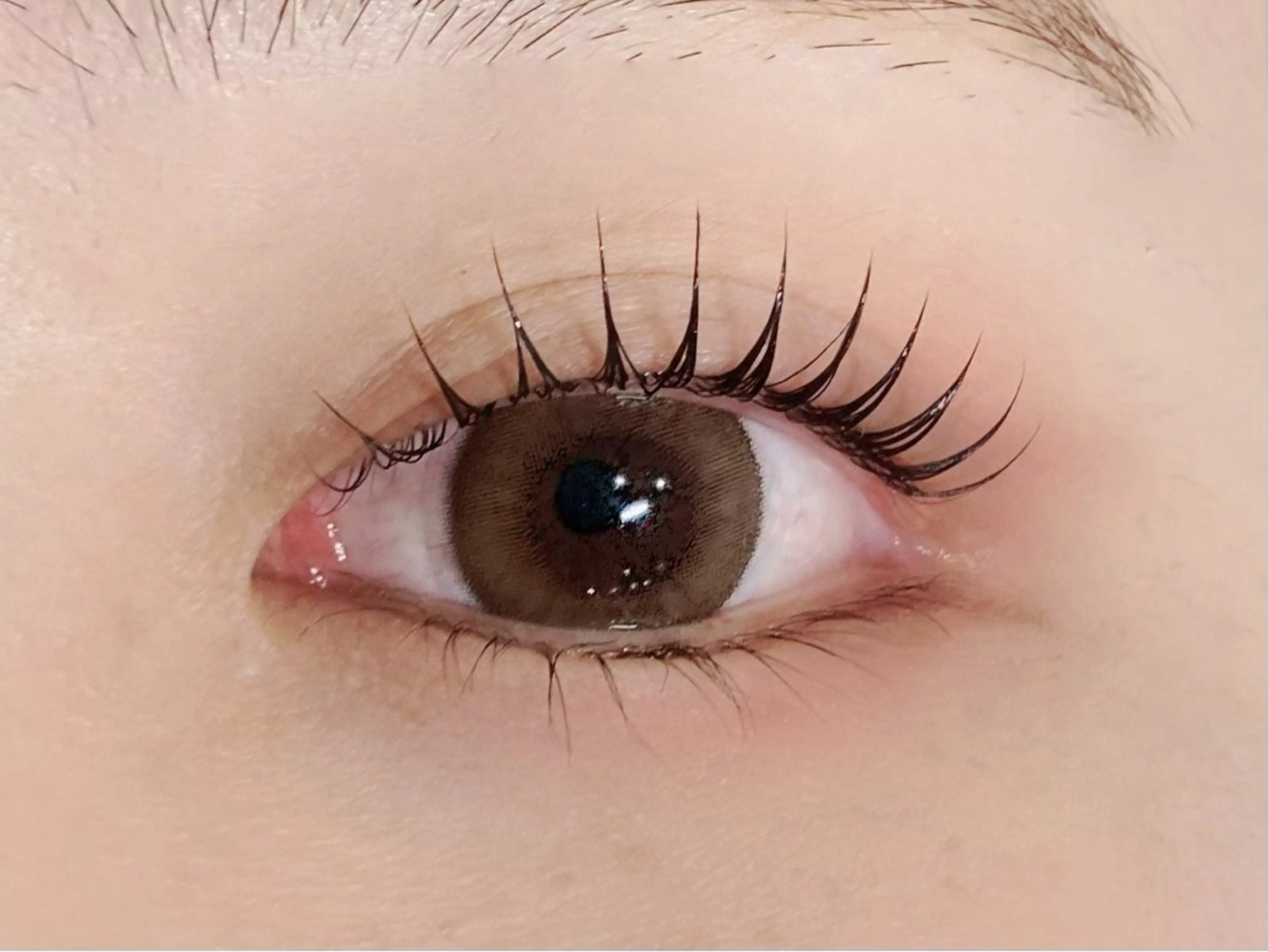 マツエク・マツパ ARLYS_茅ヶ崎 LEDエク/マツパのマツエク・マツパデザイン