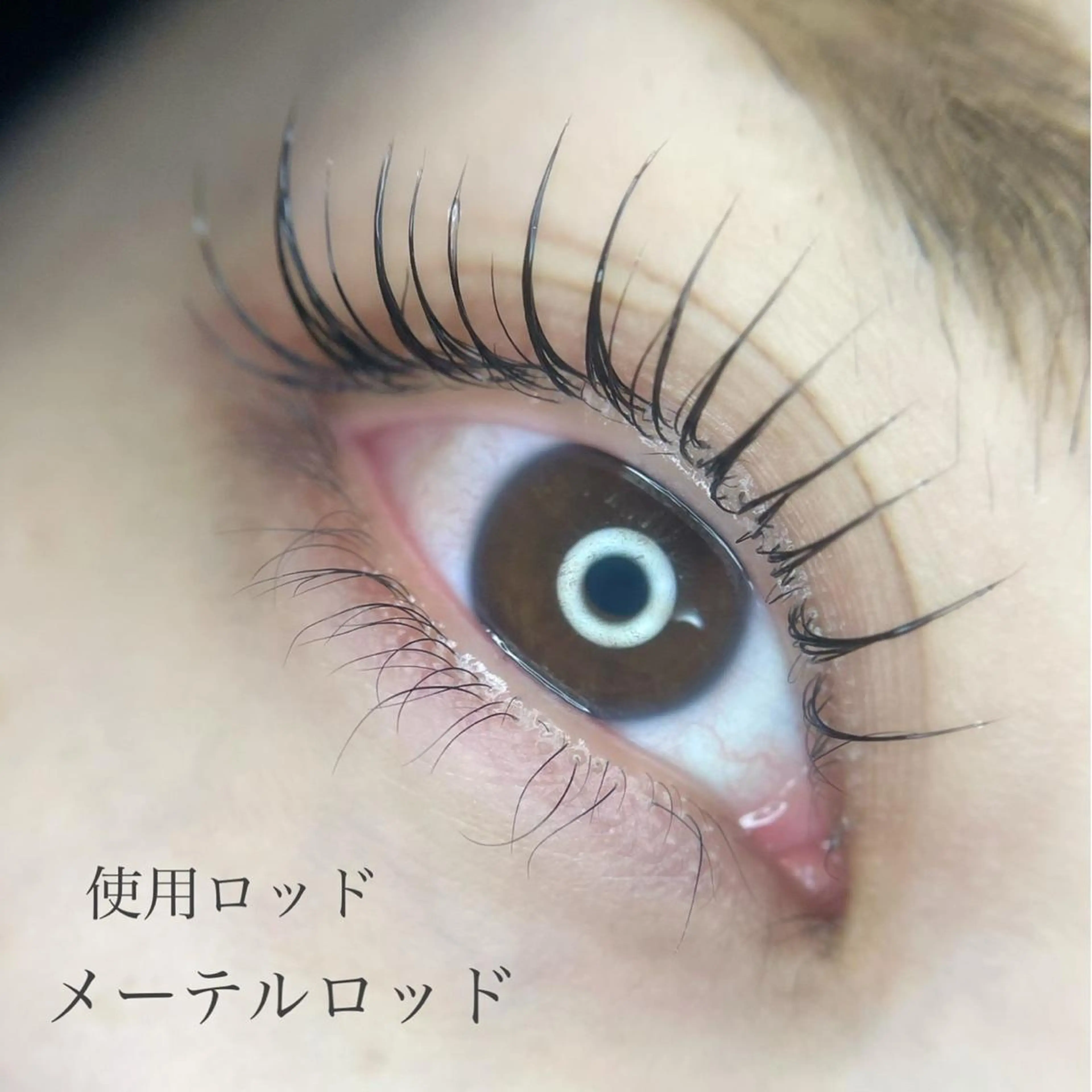 口コミお約束💜アイシャンプー付きまつ毛パーマの写真