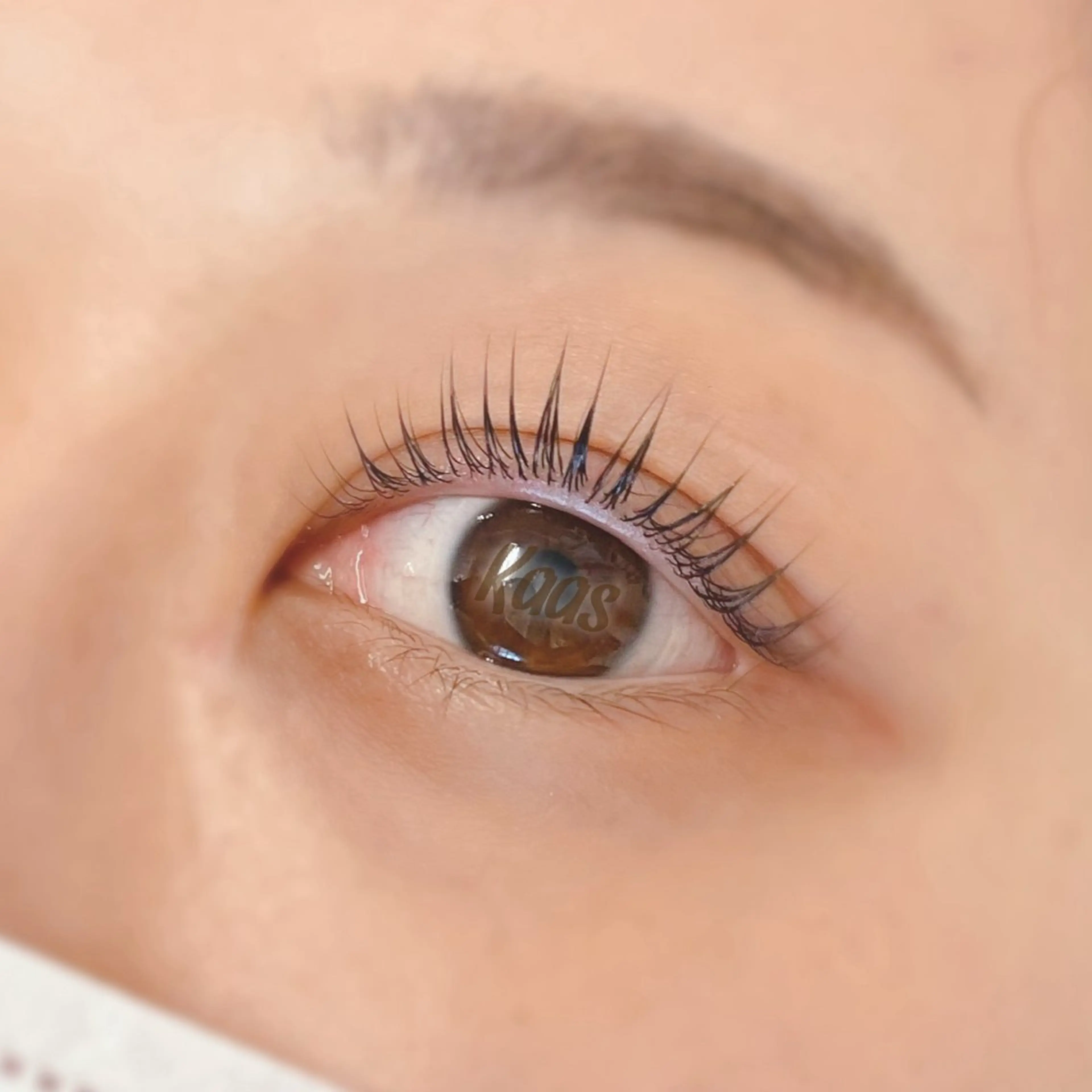 マツエク・マツパ マツパ Kaas eye / 心斎橋のマツエク・マツパデザイン