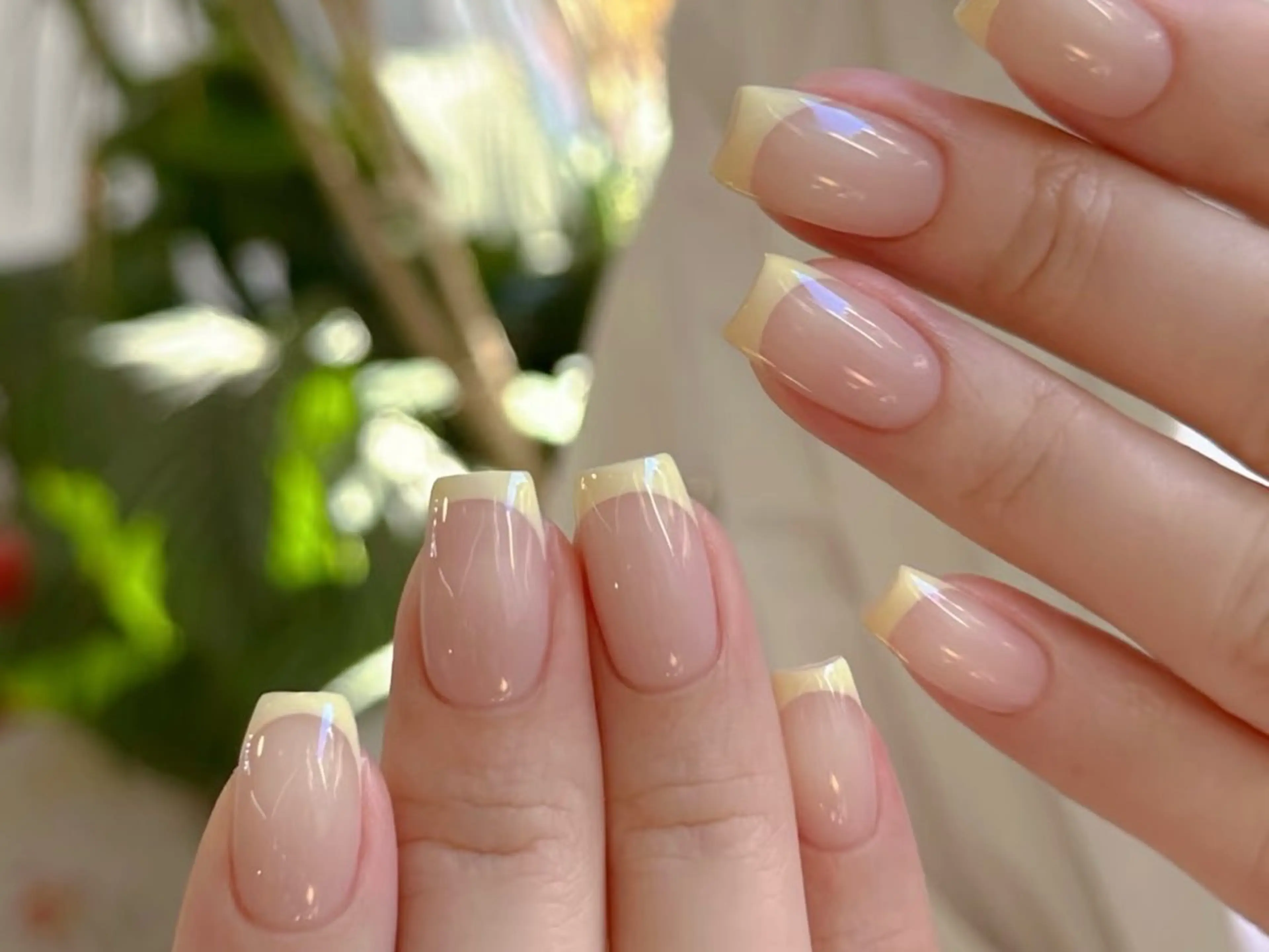 【自爪フィルイン無料】🎀カラーフレンチ(2色まで)5900 【パラジェルあり】の写真