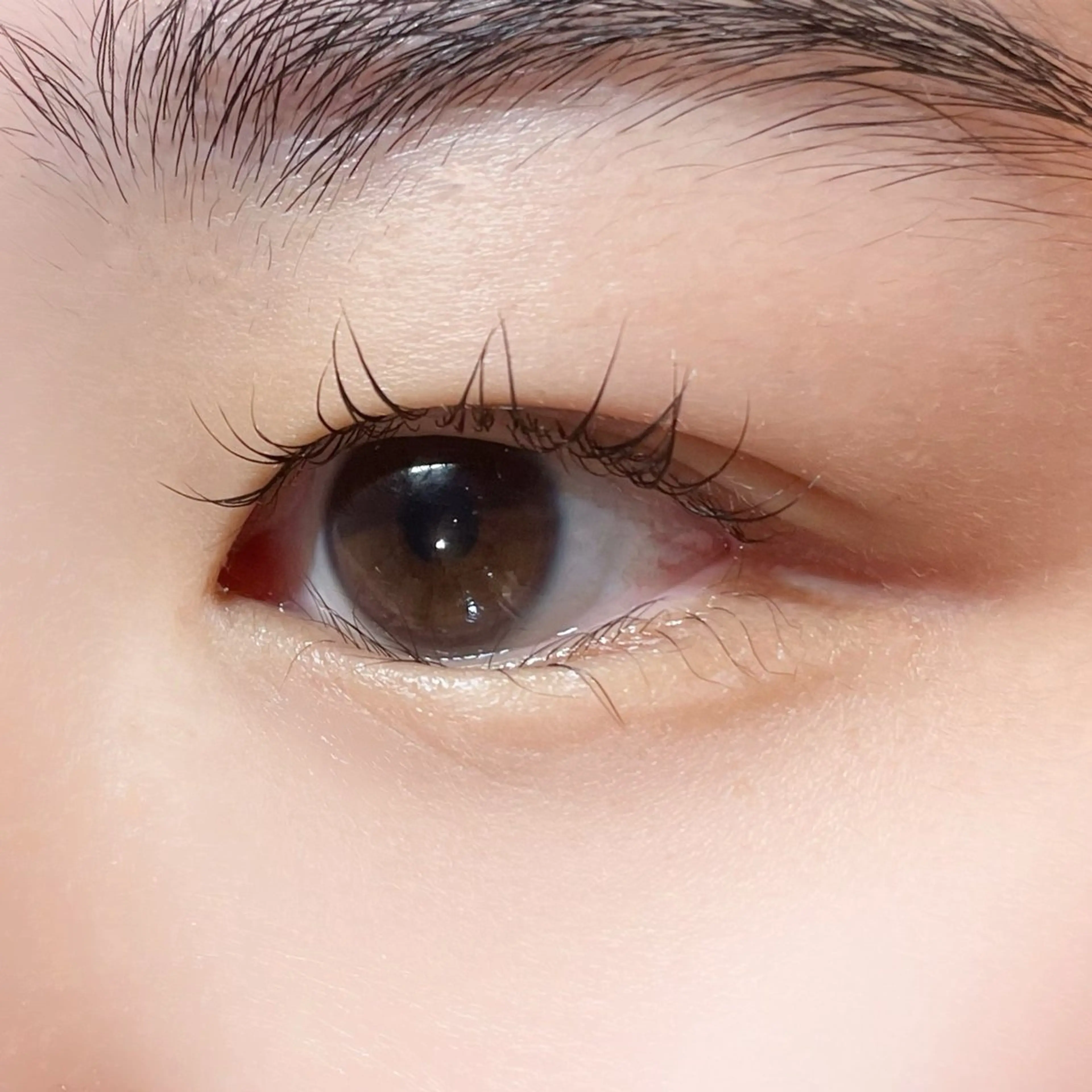 マツエク・マツパ マツパ 櫻井 怜華のマツエク・マツパデザイン