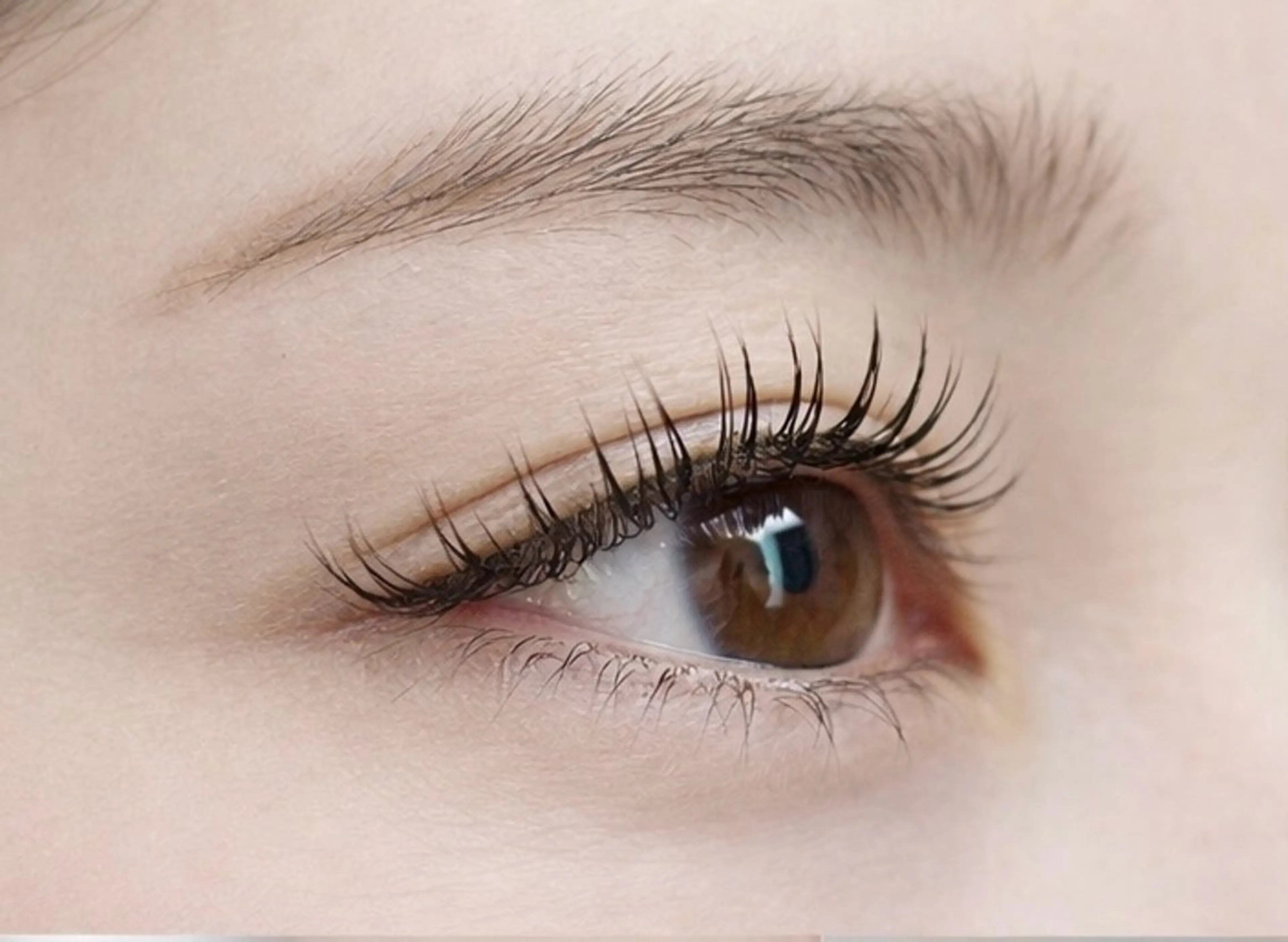 【モニター様限定】セーブルラッシュ100本の写真