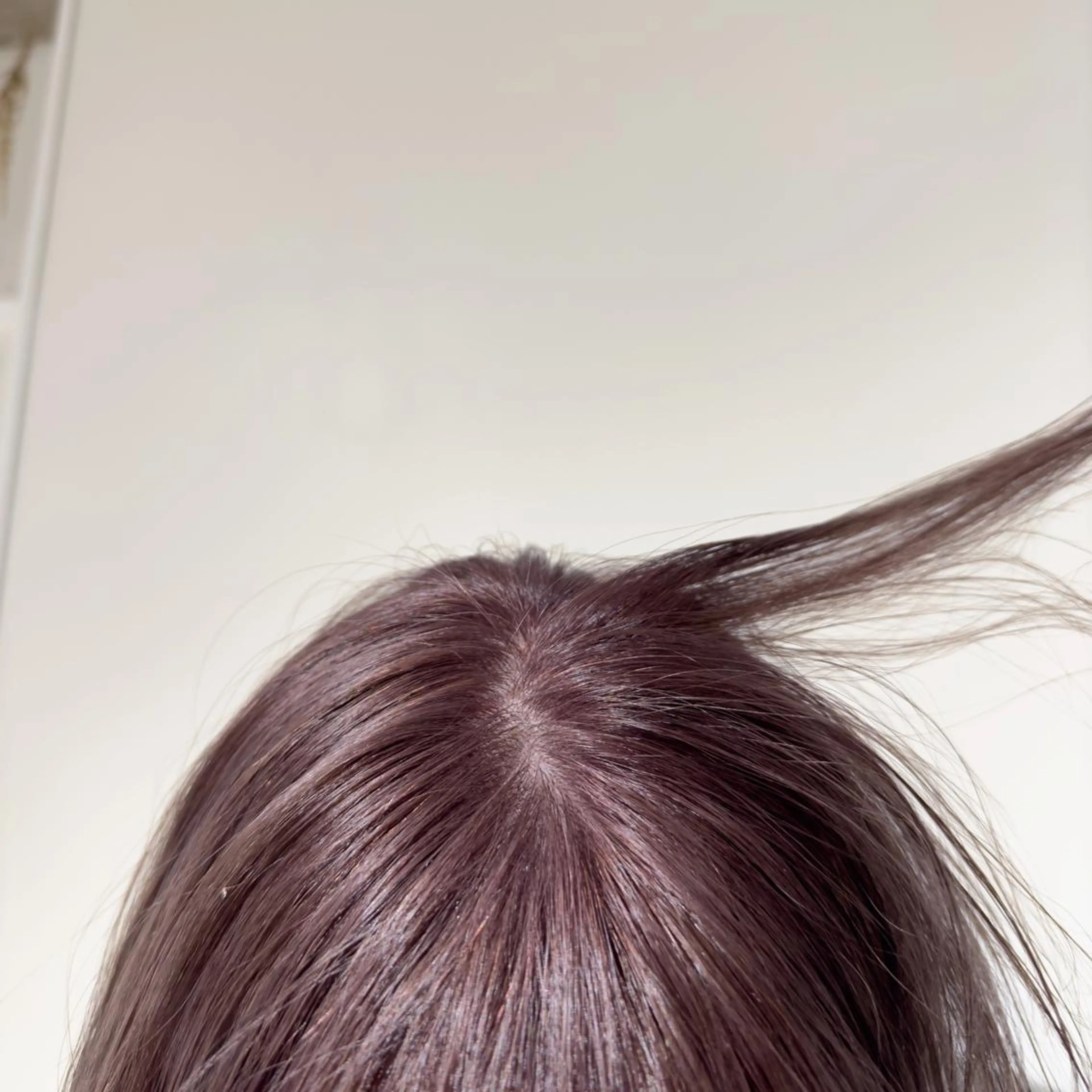 【平日限定】カット+イルミナカラー+頭皮ケアトリートメントの写真