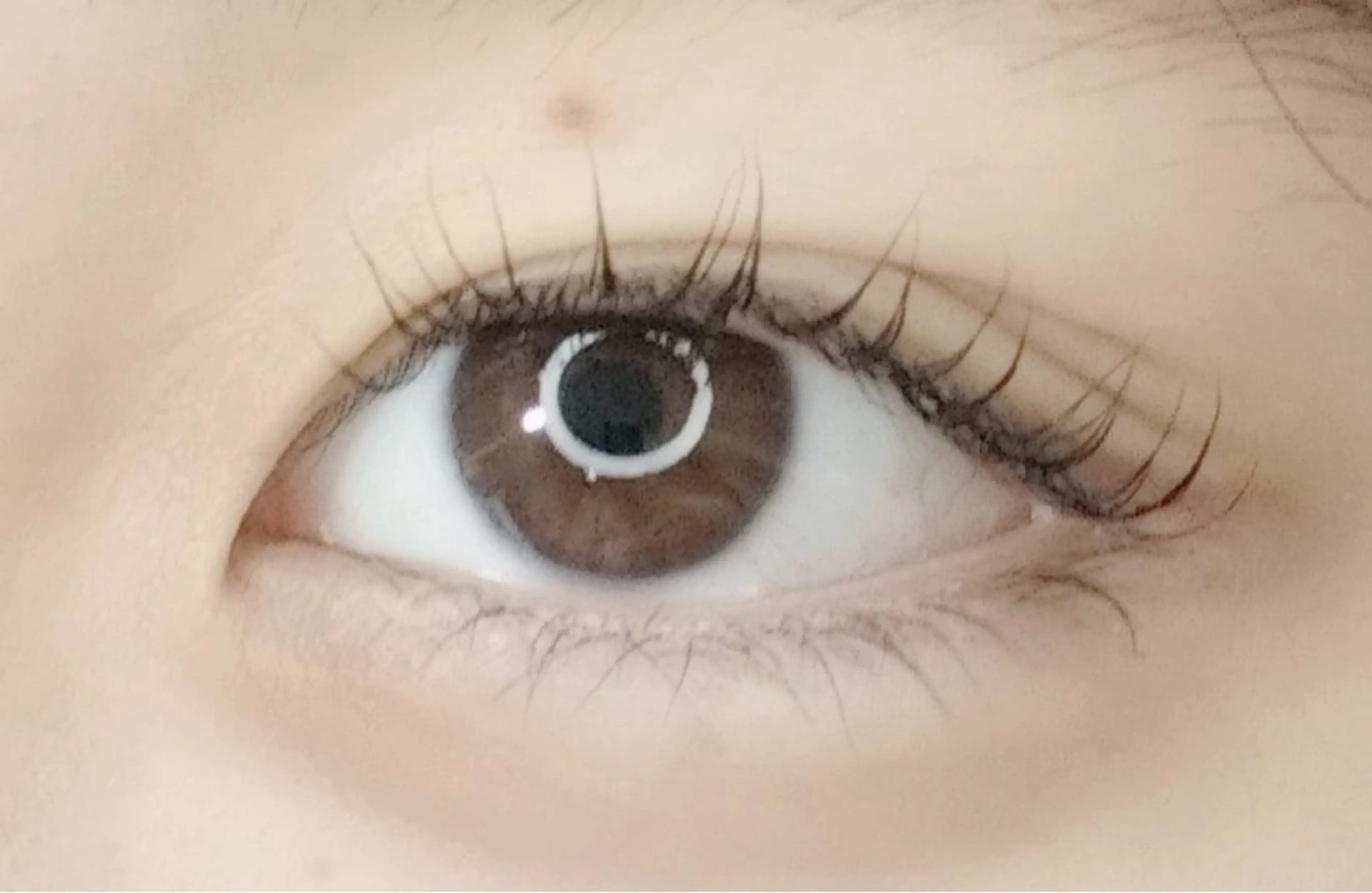 マツエク・マツパ arms lash 安藤のマツエク・マツパデザイン