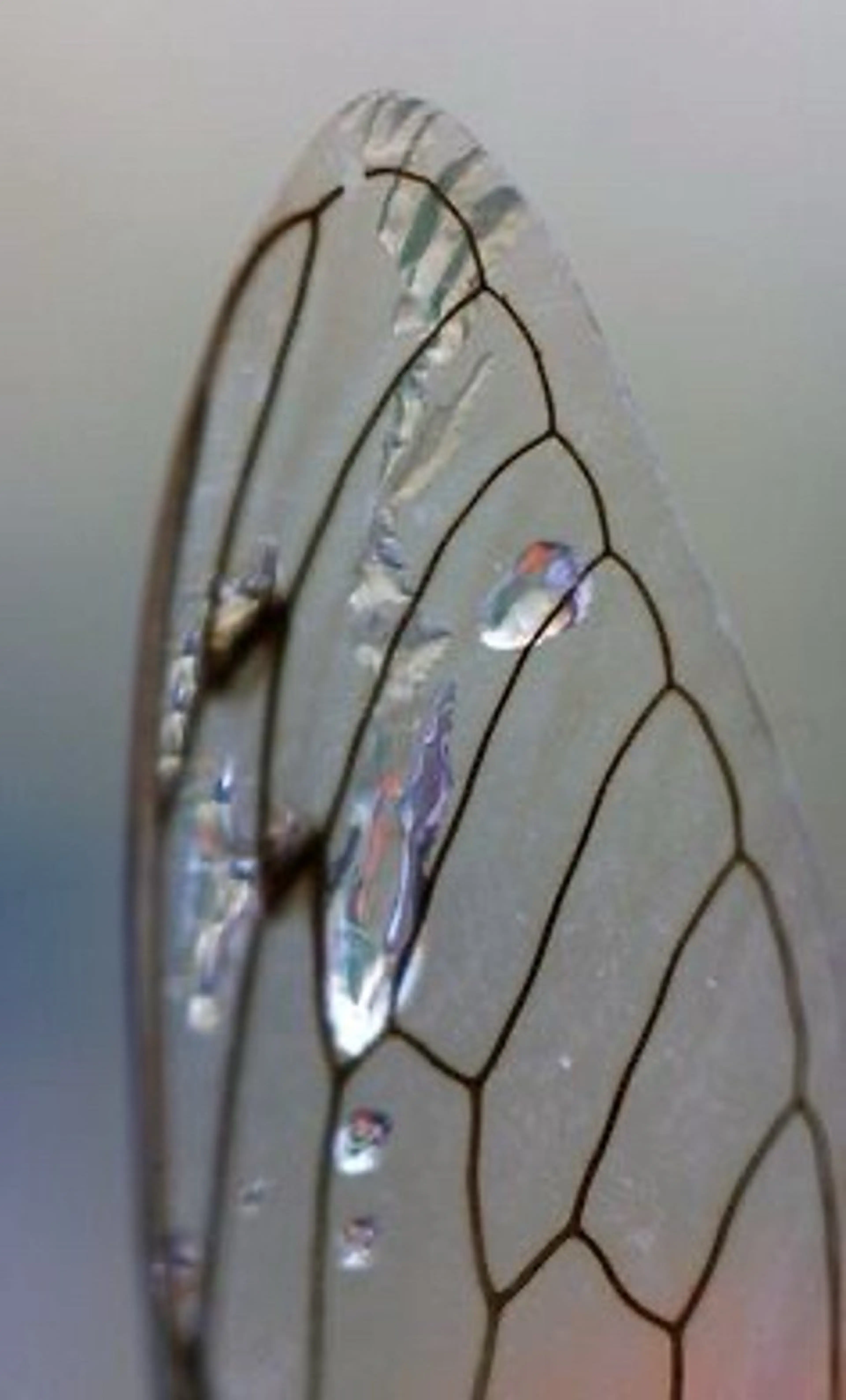 ネイル rina🎀 ご新規様受付中🌷のネイルデザイン