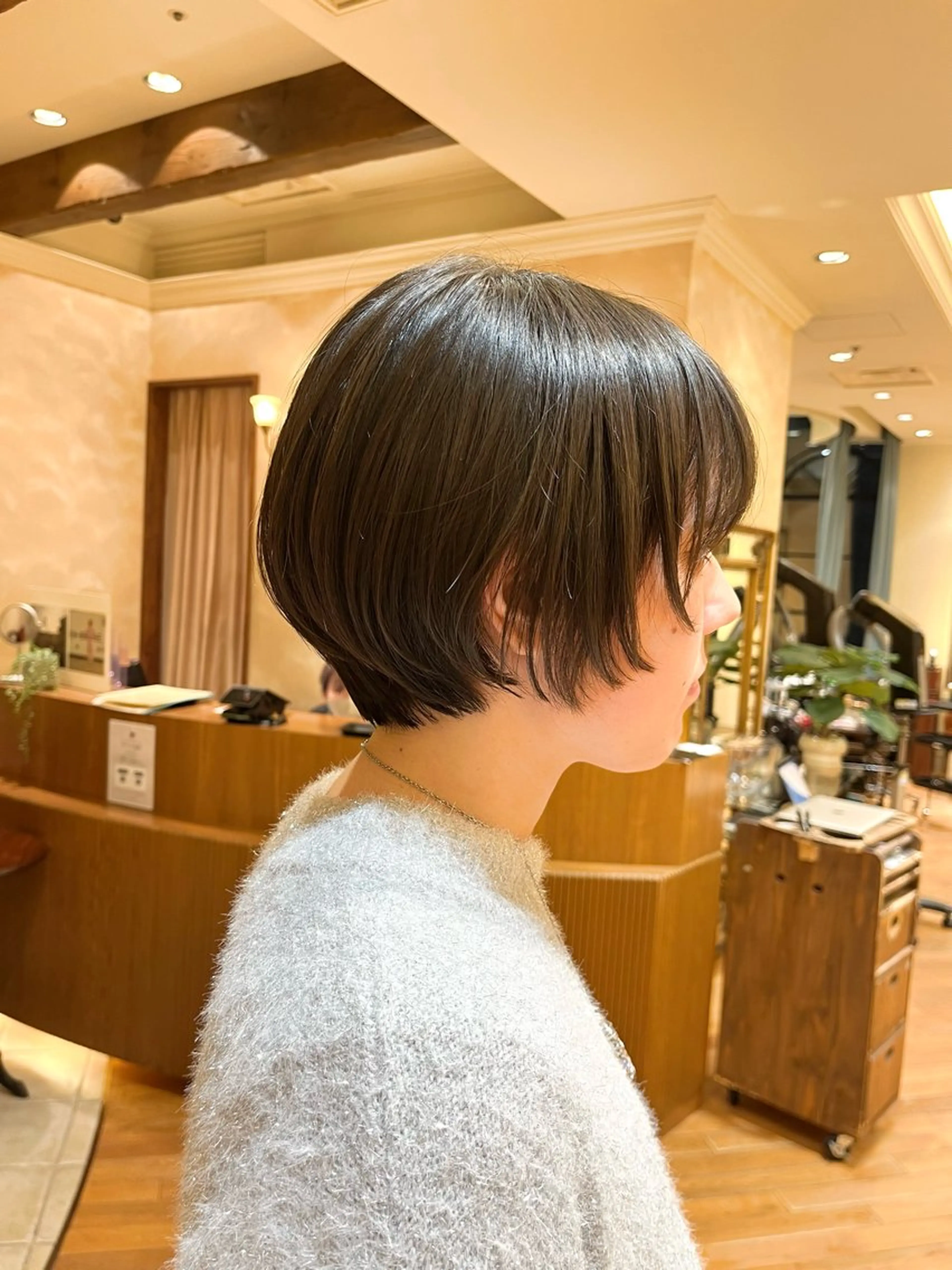 ショート 顔まわりレイヤー 顔周りカット レイヤーカット ショートヘア ショートカット / 銀座/ 青山莉奈のヘアスタイル