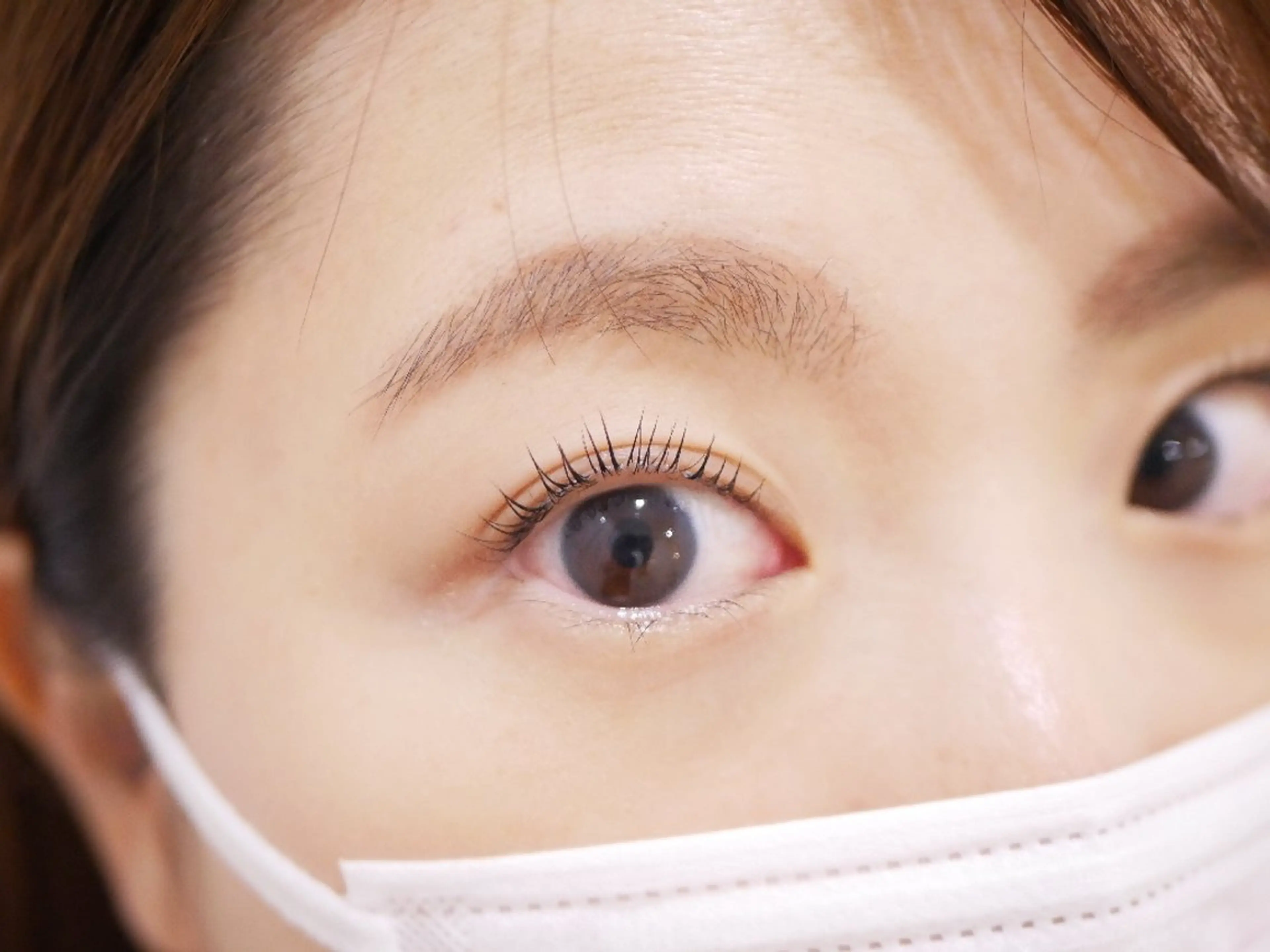 特別価格❤︎ラッシュリフト︎❤︎の写真