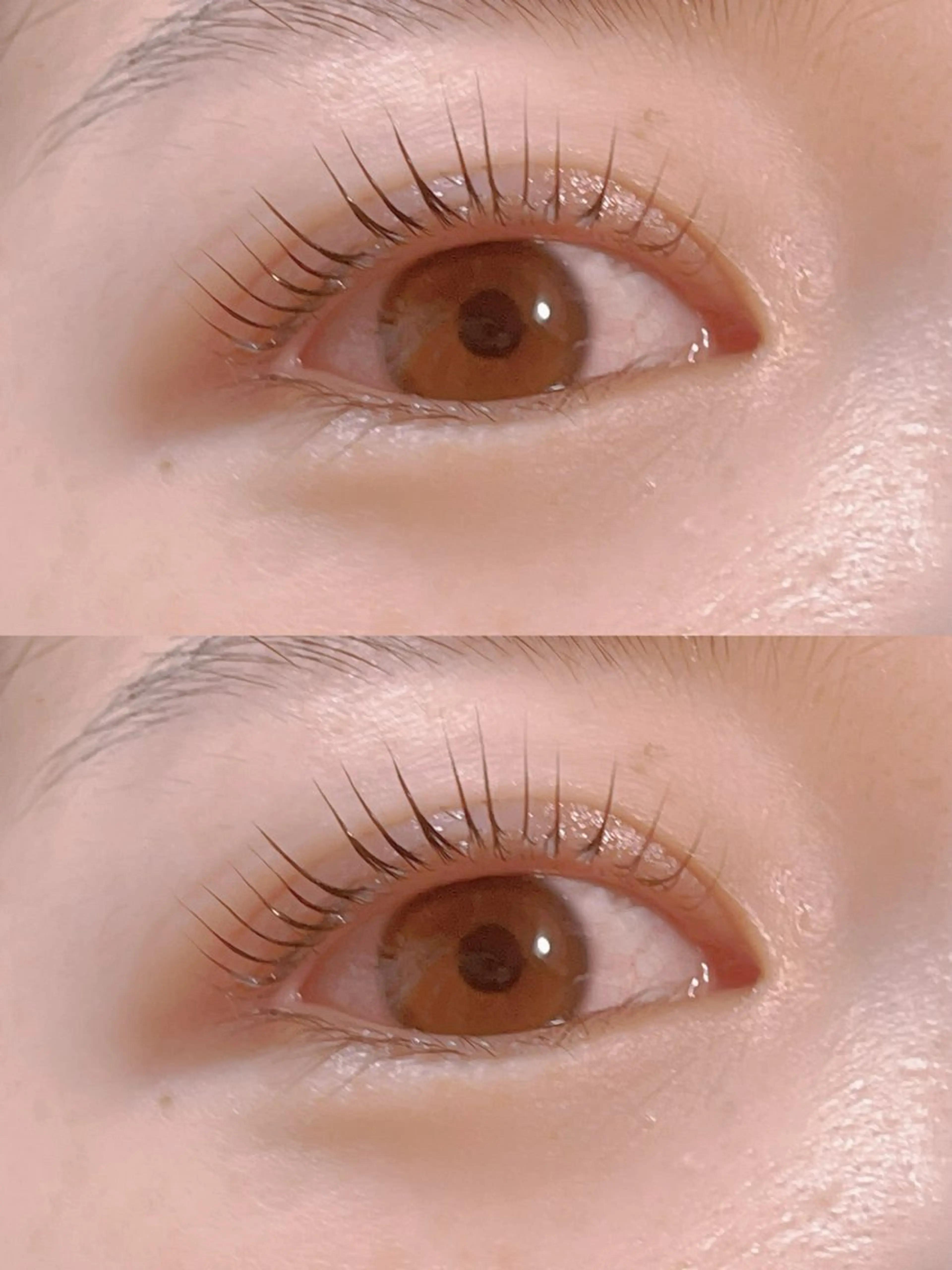 マツエク・マツパ マツエク 専門店 FOIのマツエク・マツパデザイン