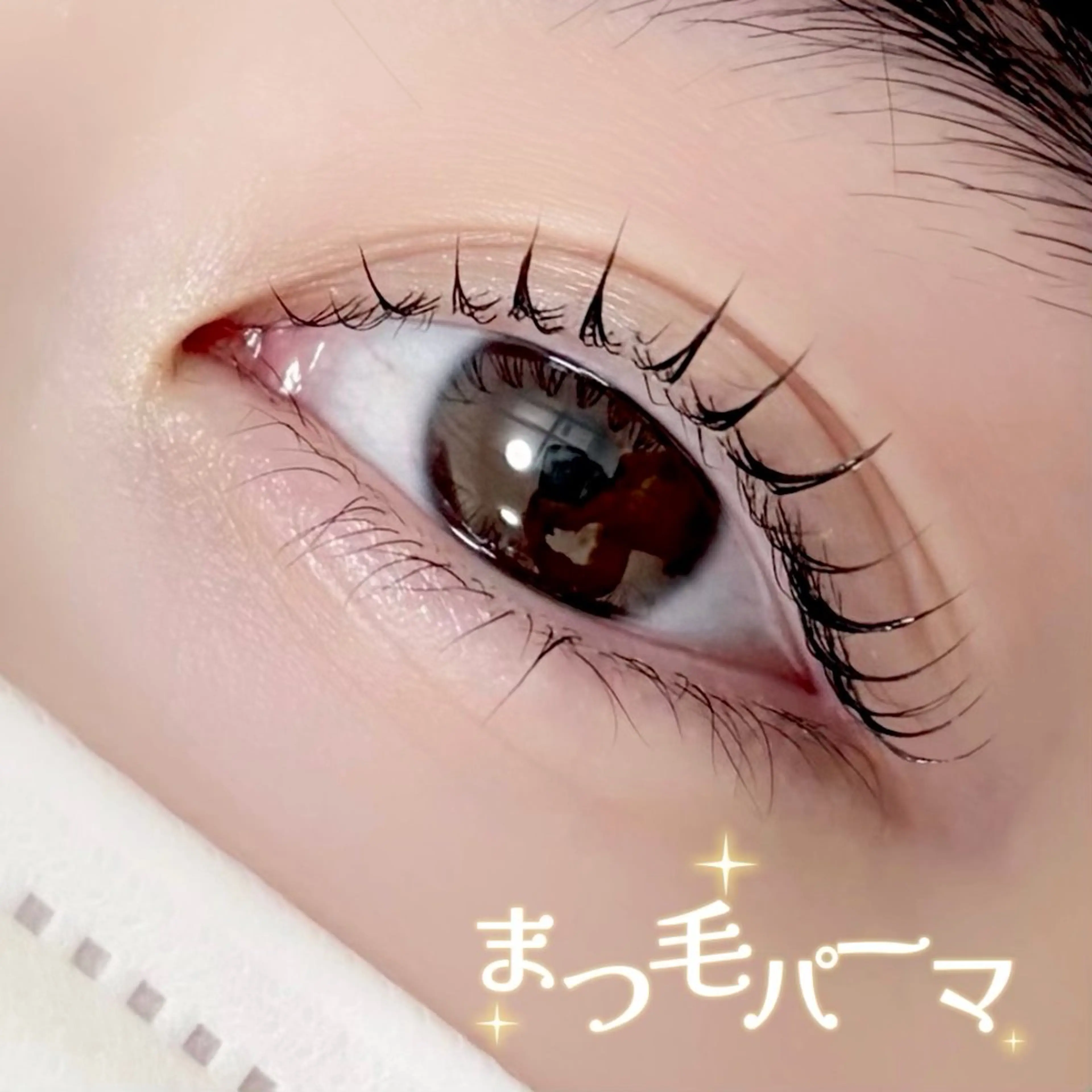 マツエク・マツパ 一重×まつ毛パーマ マツパ Bellem. 【ベルム】のマツエク・マツパデザイン