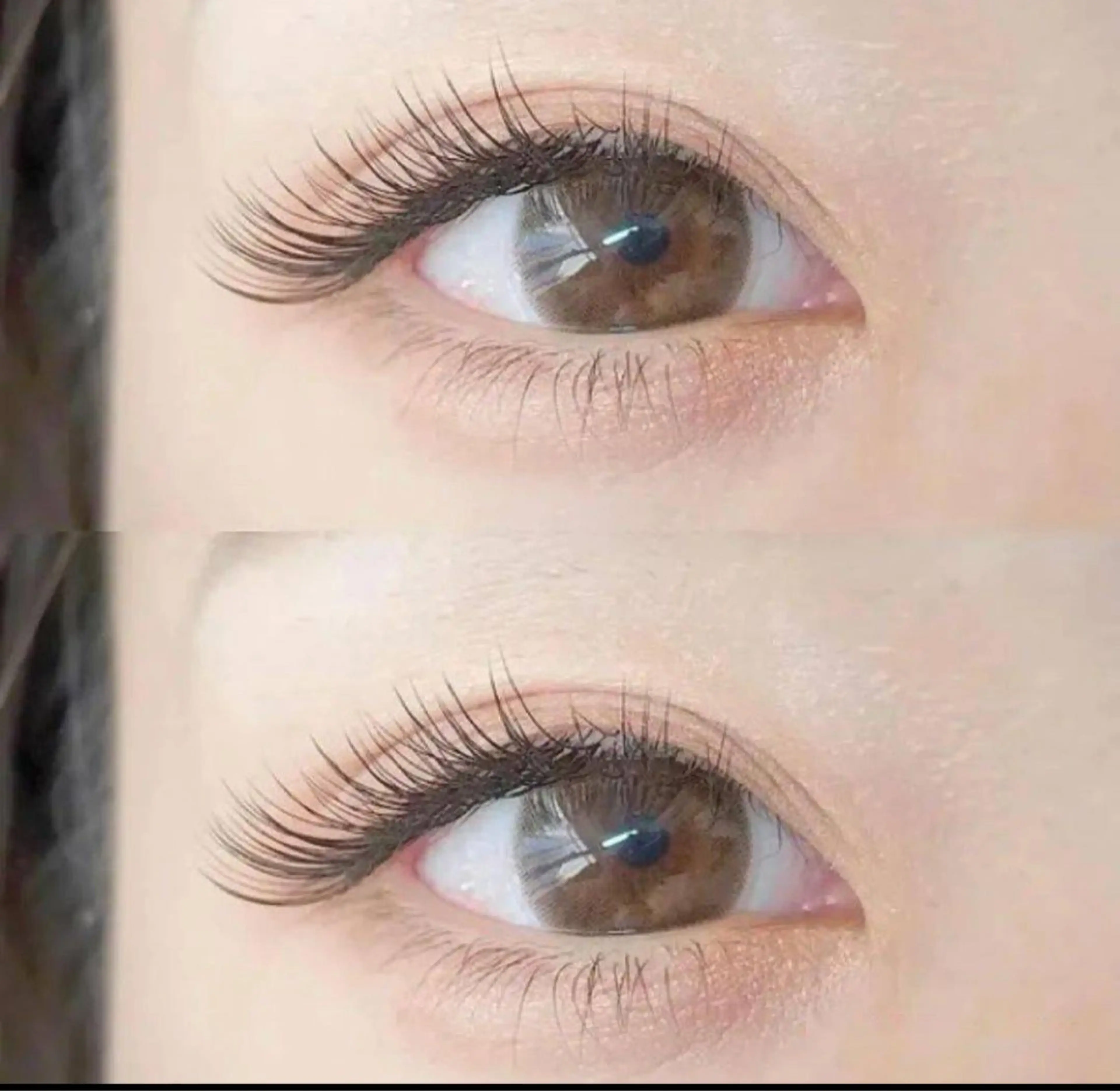 🉐定番【オフ無料】★高級セーブル120本5480円(何度でも利用可)の写真