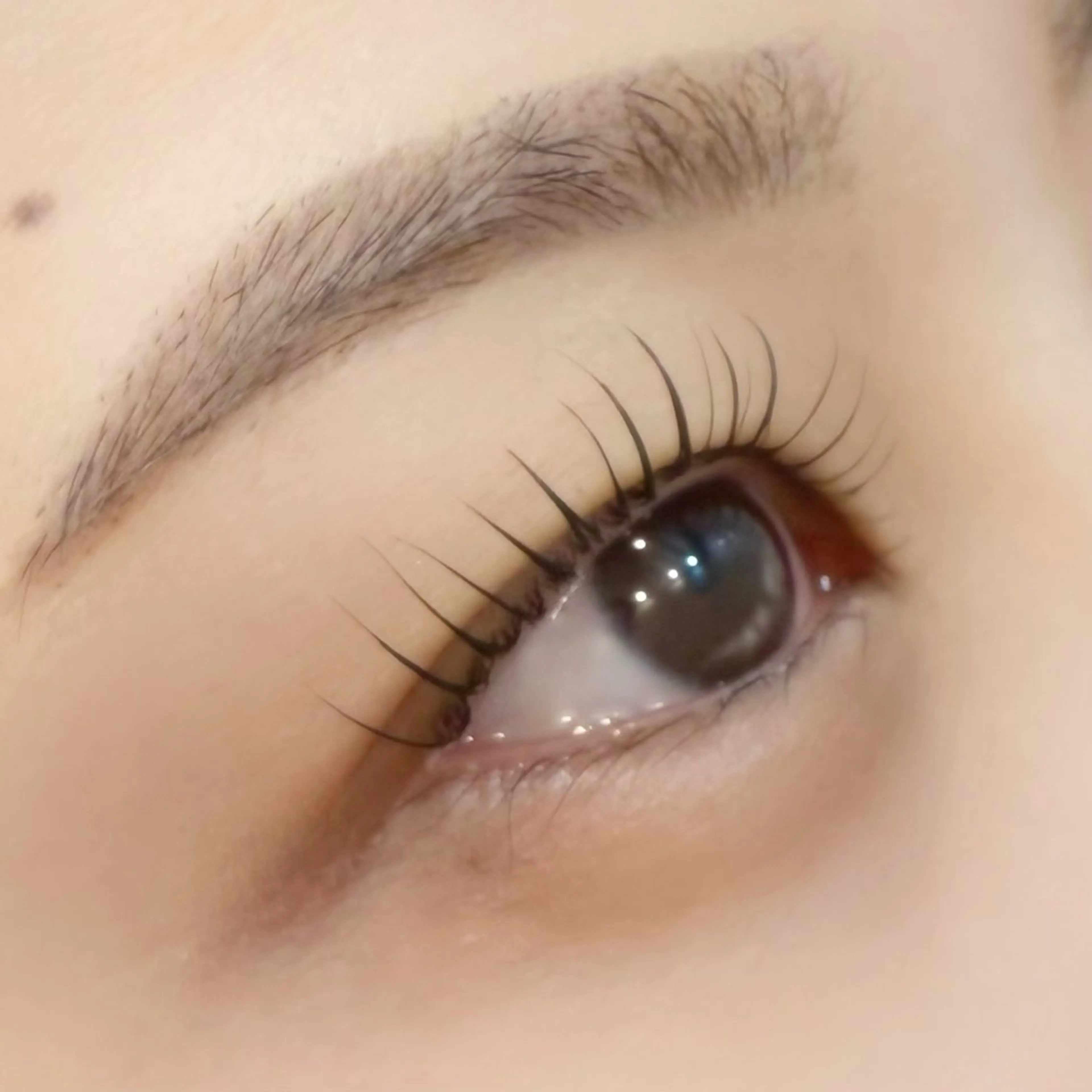 マツエク・マツパ YOSHIDA 🐰桜木町店のマツエク・マツパデザイン