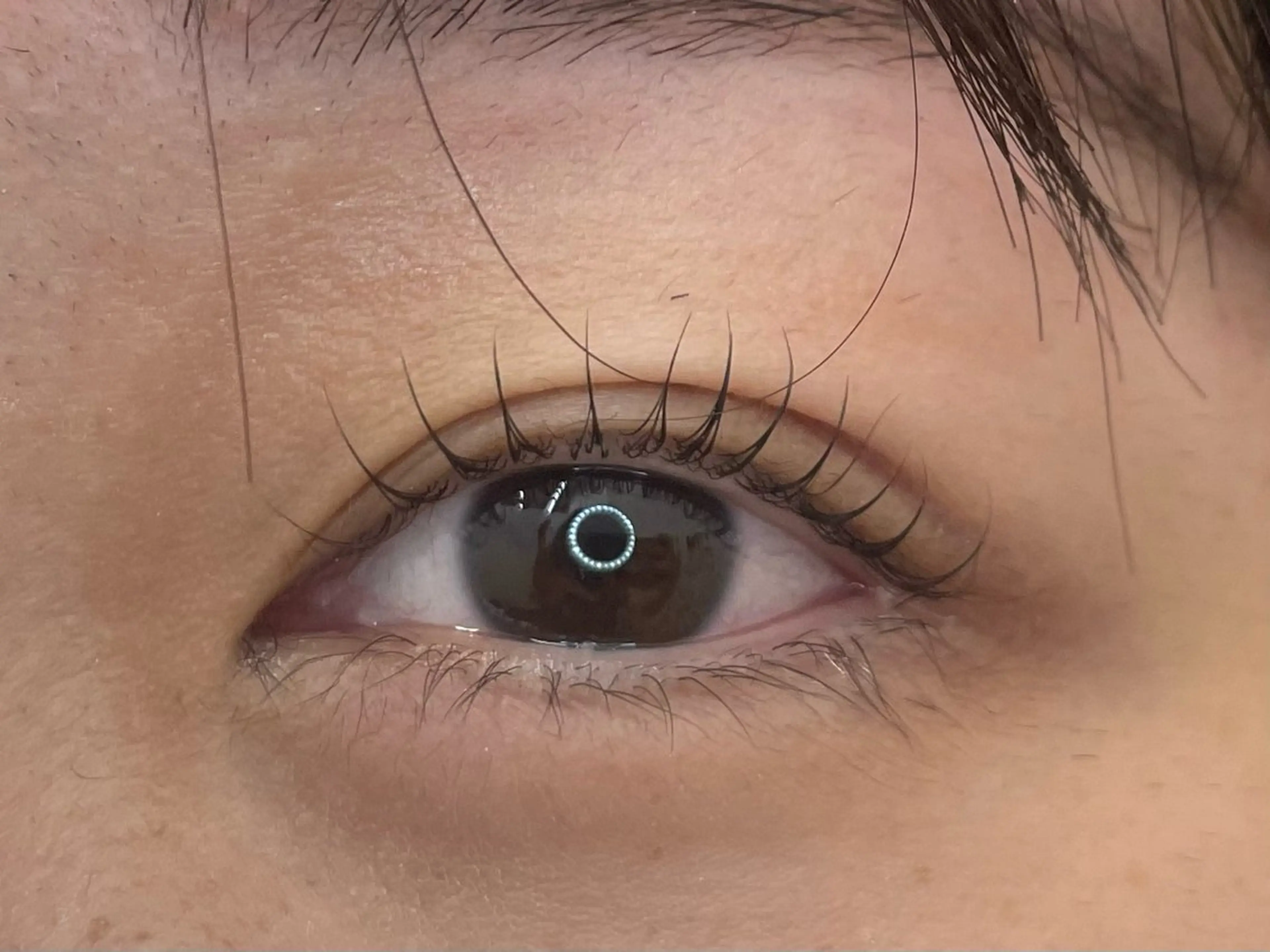 マツエク・マツパ Lukia MOMOのマツエク・マツパデザイン