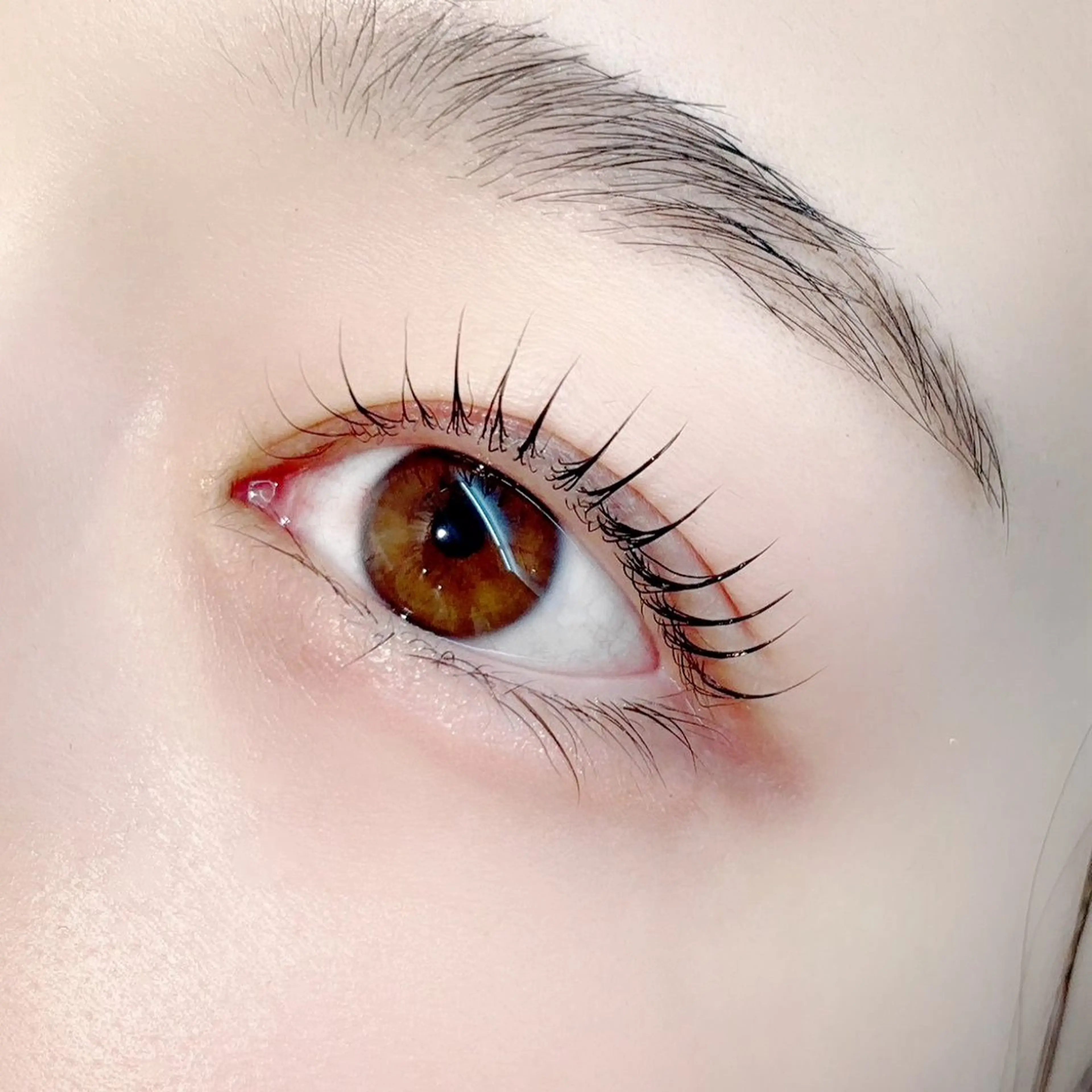 🤍まつ毛パーマモデル🤍　¥1500(現金のみ・お釣りのない様にお願いいたします)の写真