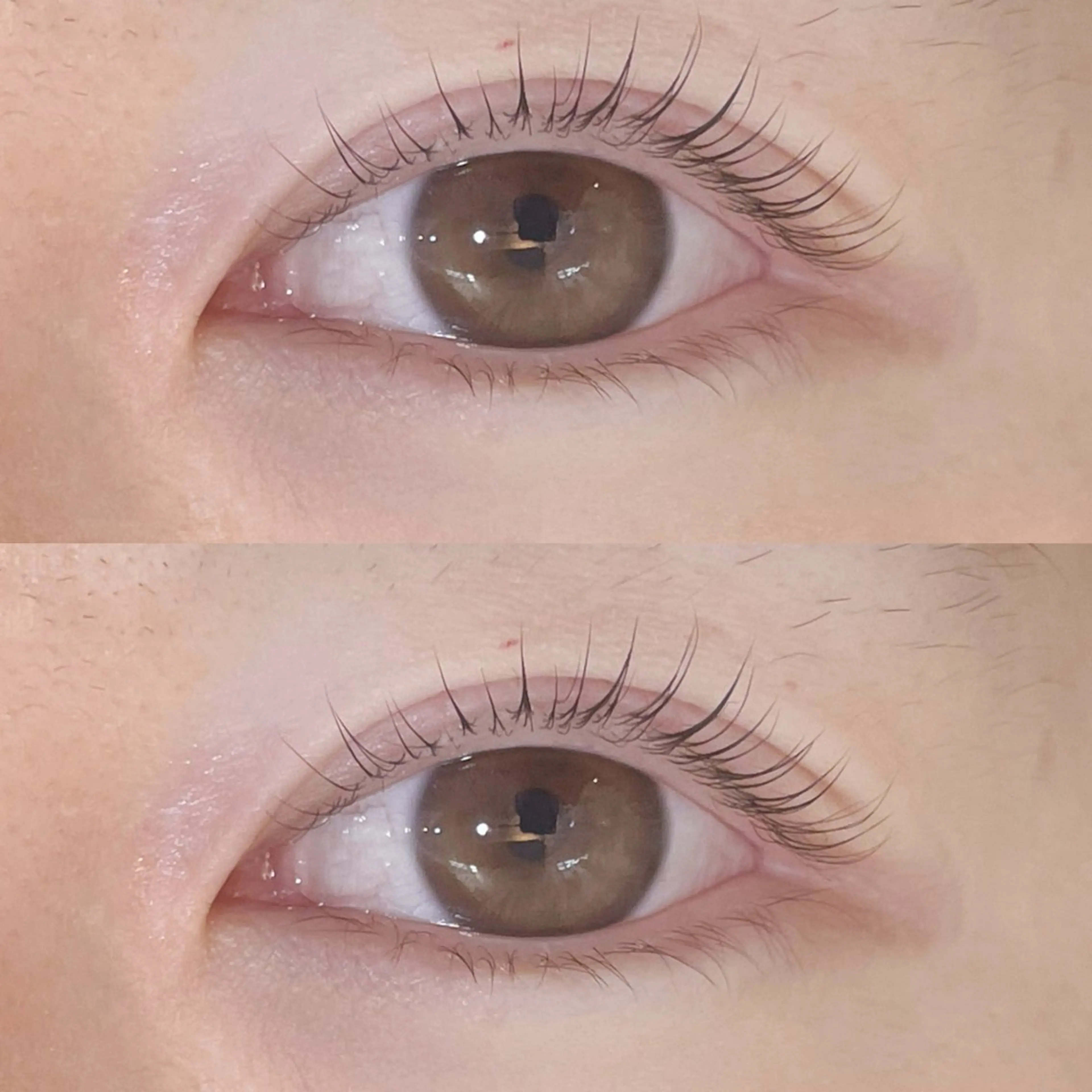 マツエク・マツパ EYELA所沢店 ayariのマツエク・マツパデザイン