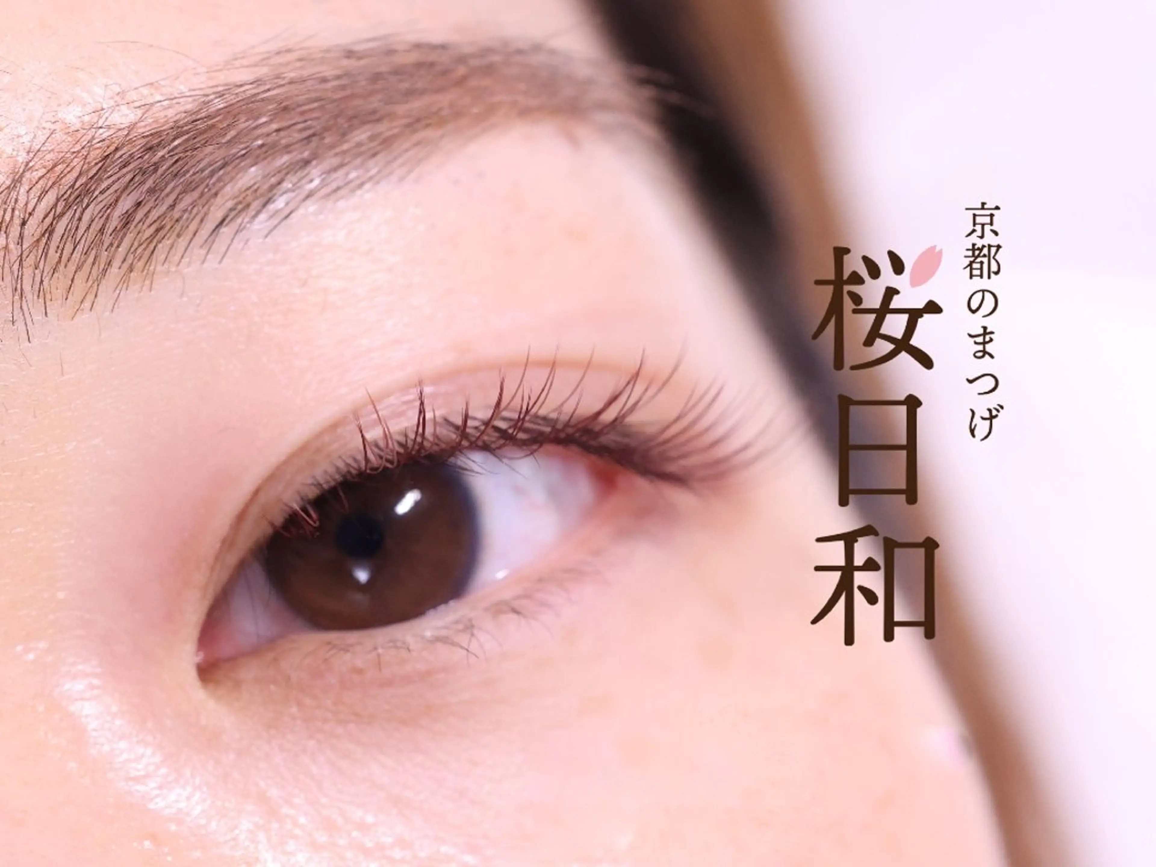 マツエク・マツパ カラーマツエク フラットラッシュ セクシー マツエク 京都のまつげ桜日和 小島美桜のマツエク・マツパデザイン