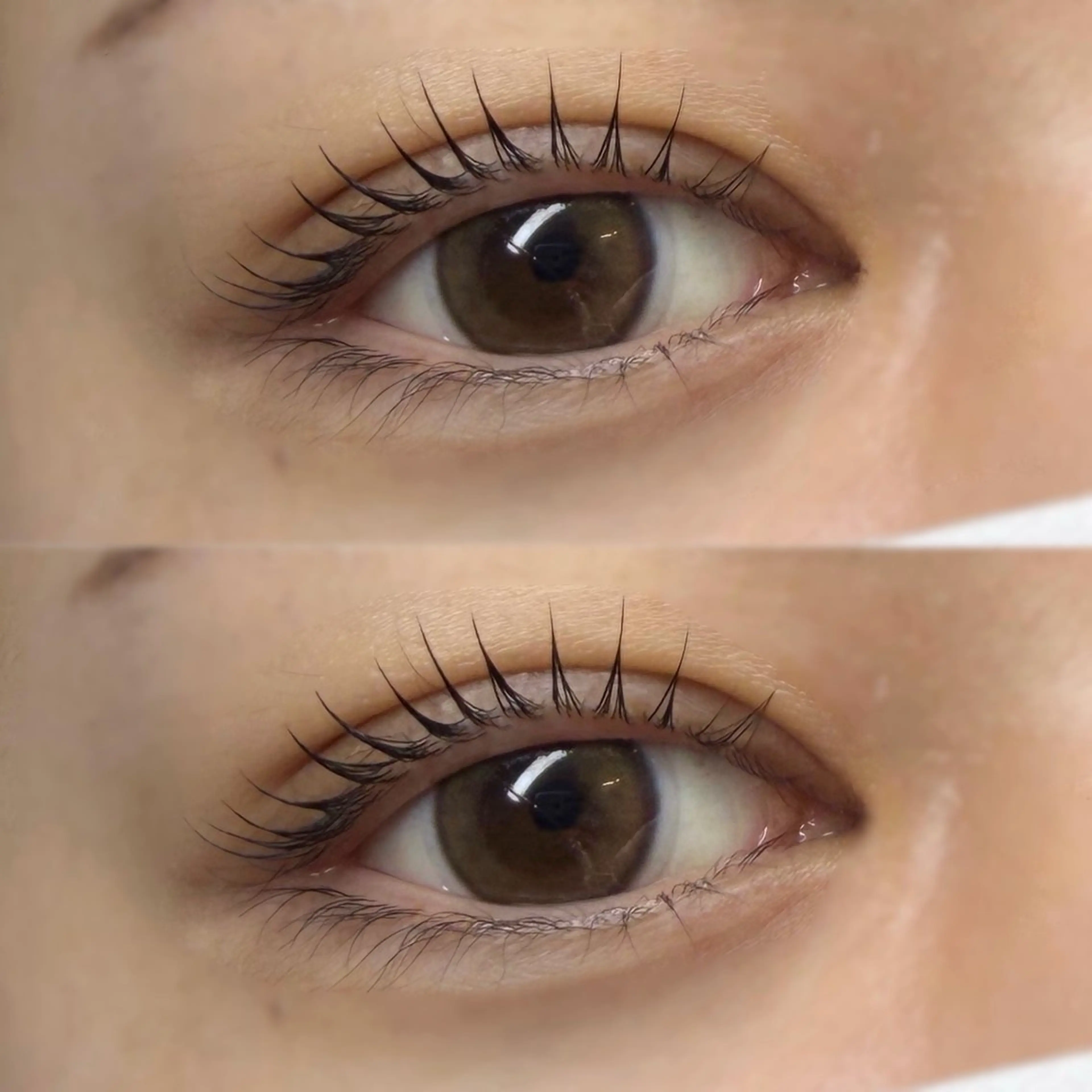 まつ毛パーマ（アイシャンプー、トリートメント、コーティング付き✨）の写真