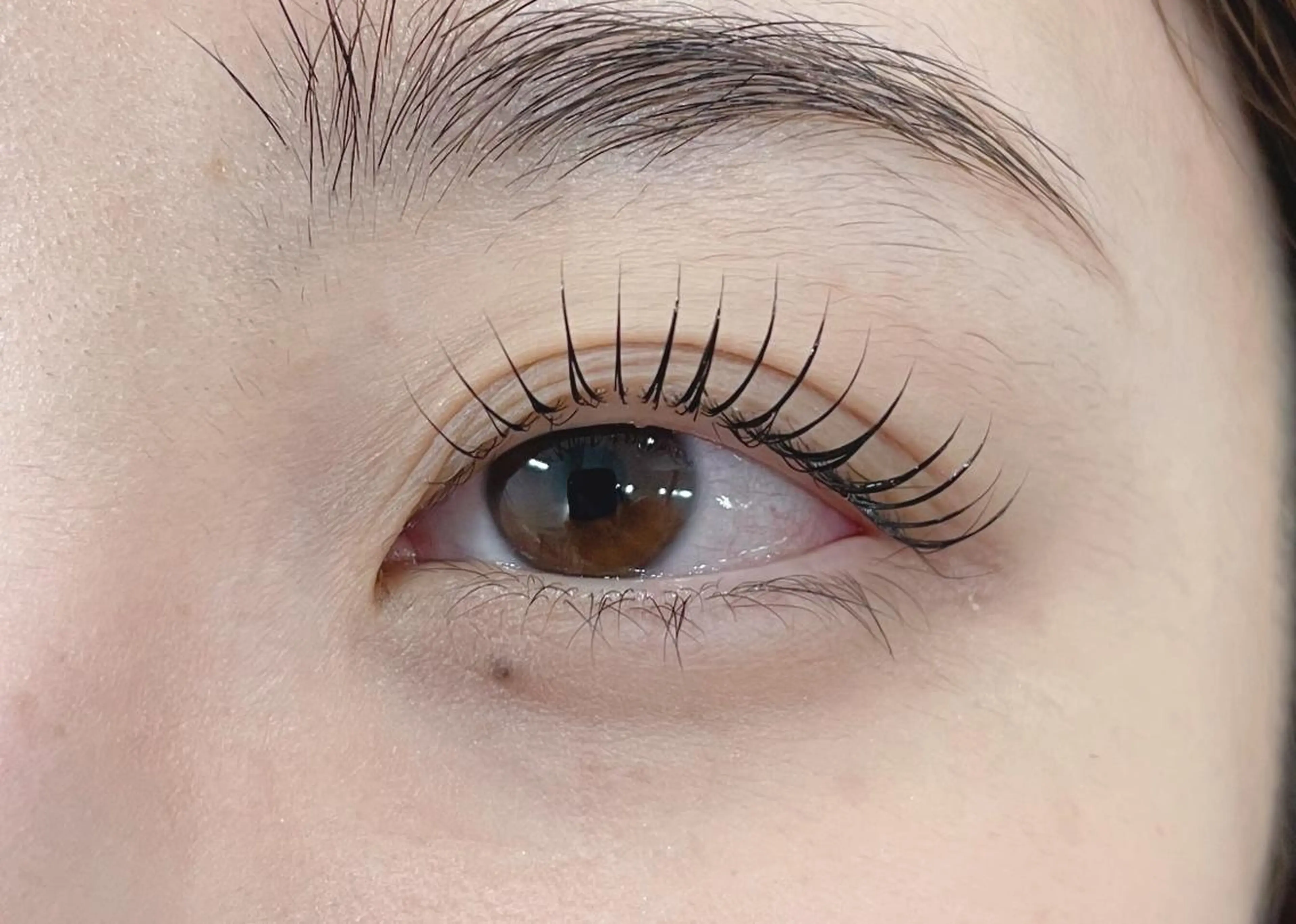 マツエク・マツパ nuit 学芸大学店のマツエク・マツパデザイン