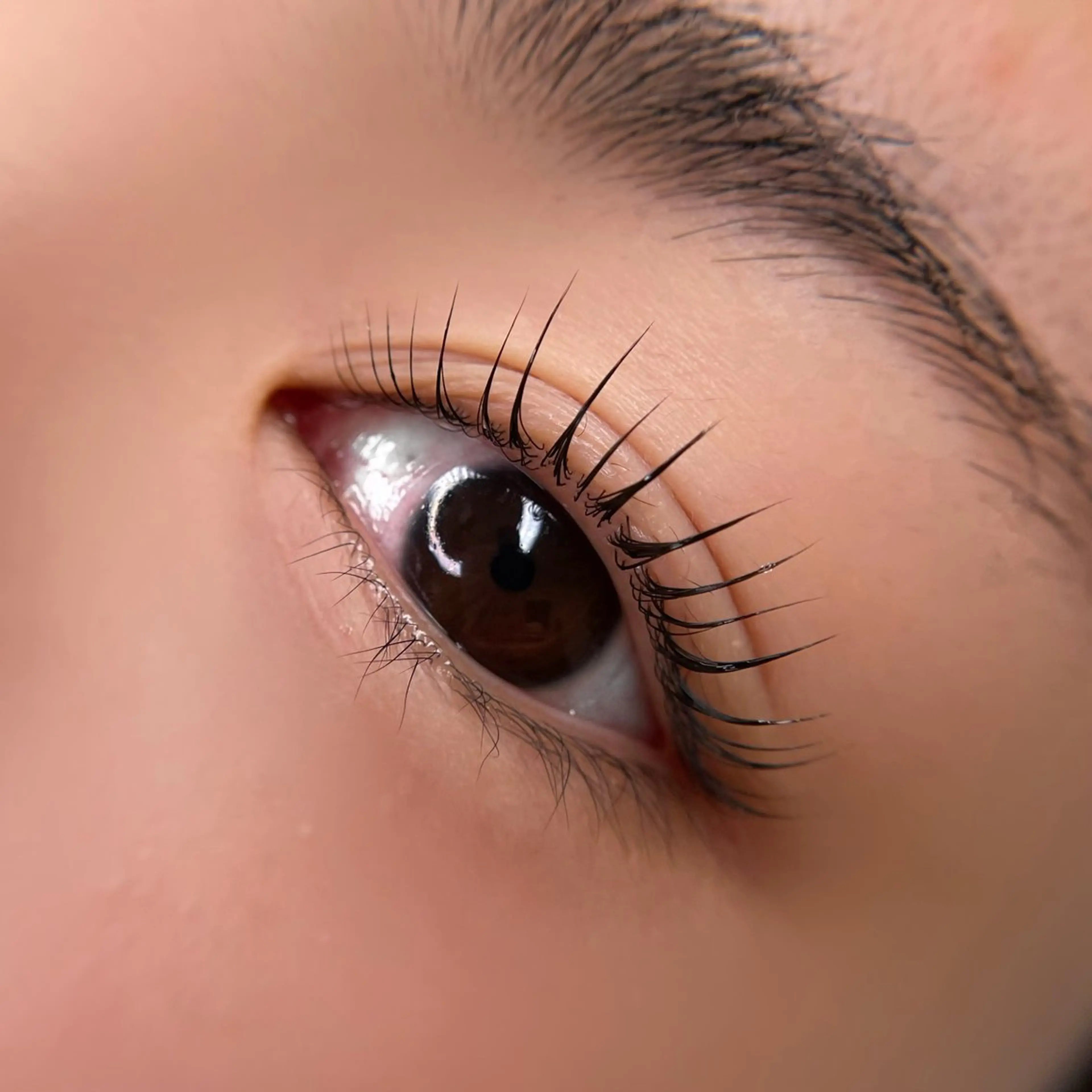 マツエク・マツパ ケラチンラッシュリフト 【𝐋𝐢𝐚𝐧】 𝐑𝐢𝐨のマツエク・マツパデザイン