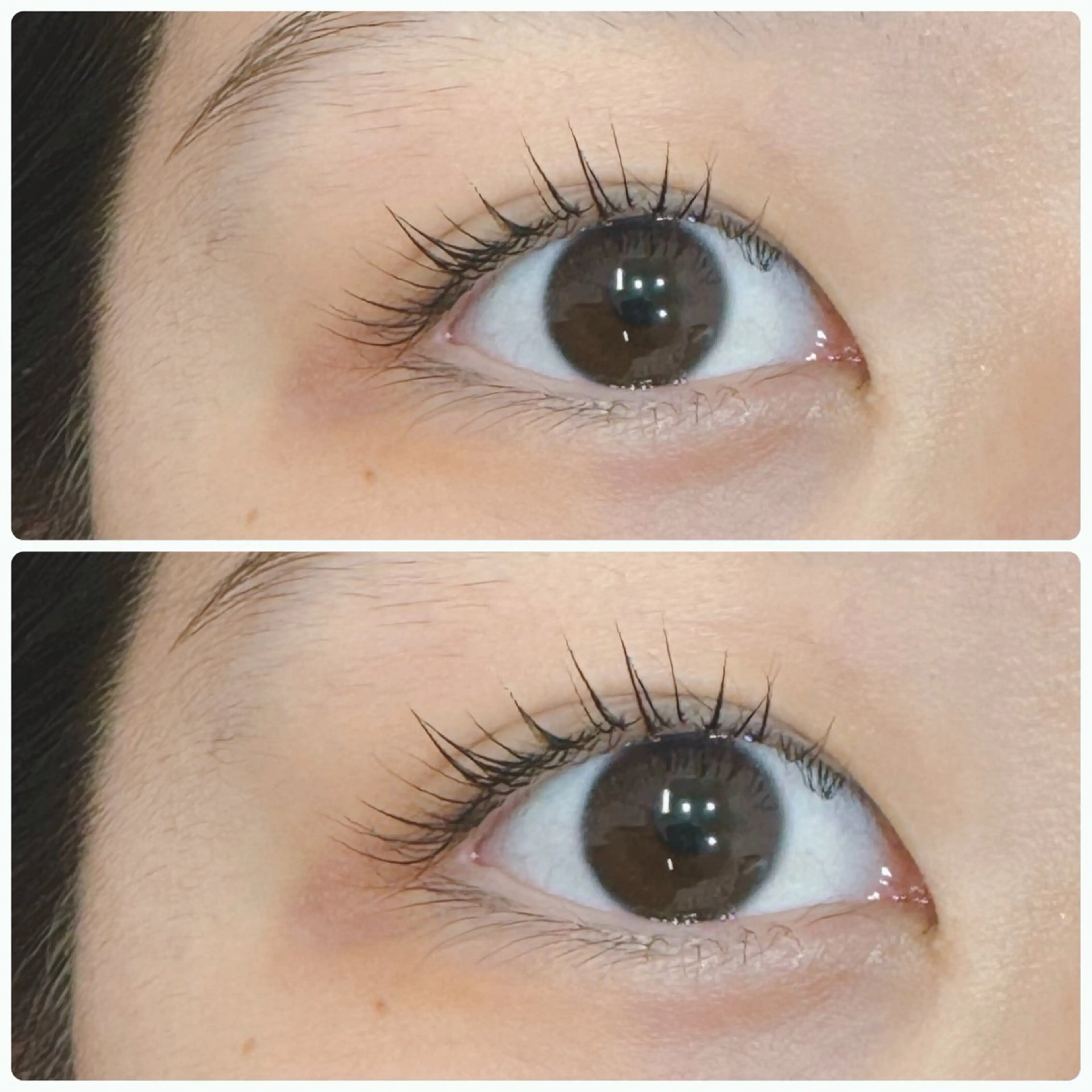 マツエク・マツパ マツパ LUNA room .のマツエク・マツパデザイン