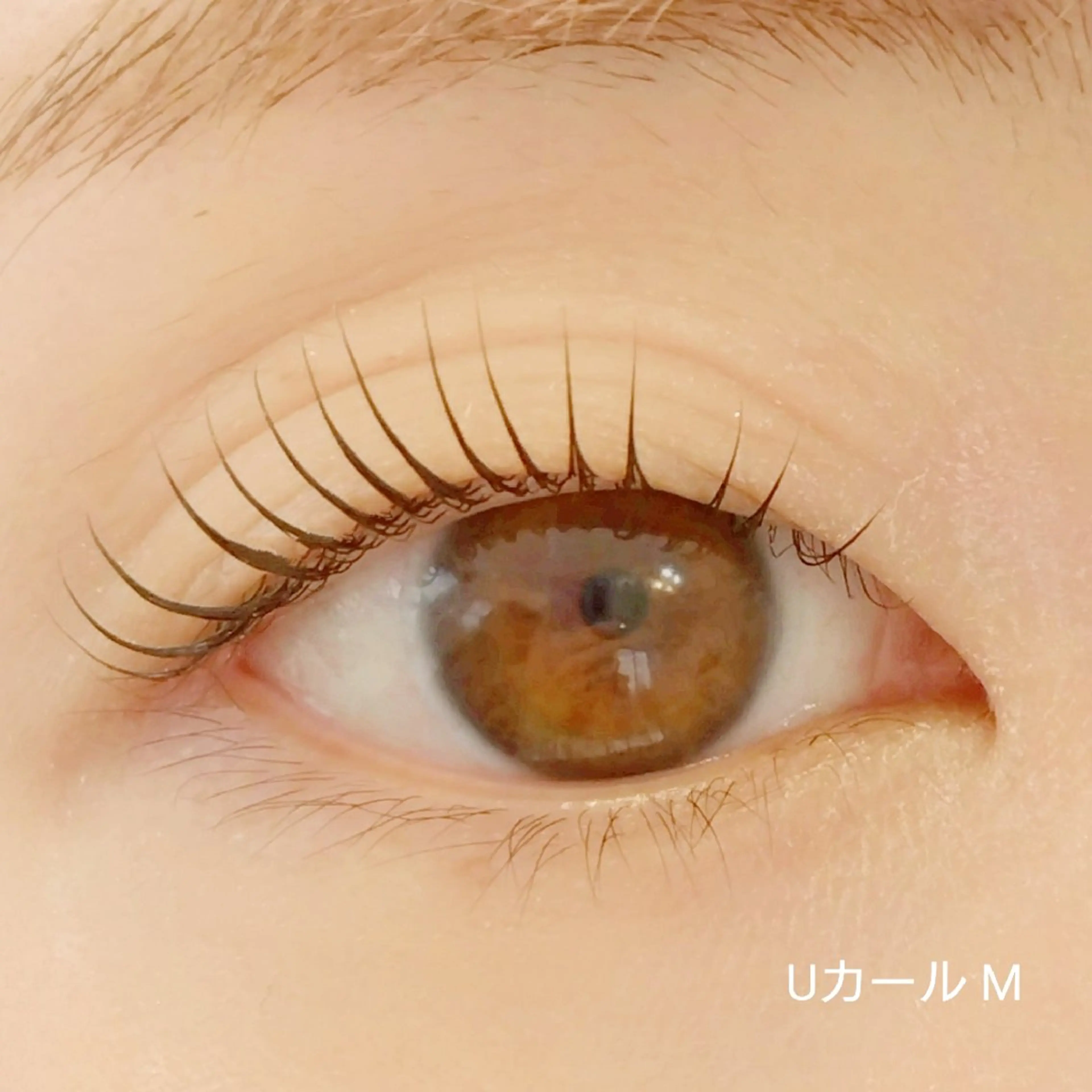 マツエク・マツパ Vie Ange 浦和コルソ店所属・Vie  Ange erikaの眉毛・アイブロウイメージ