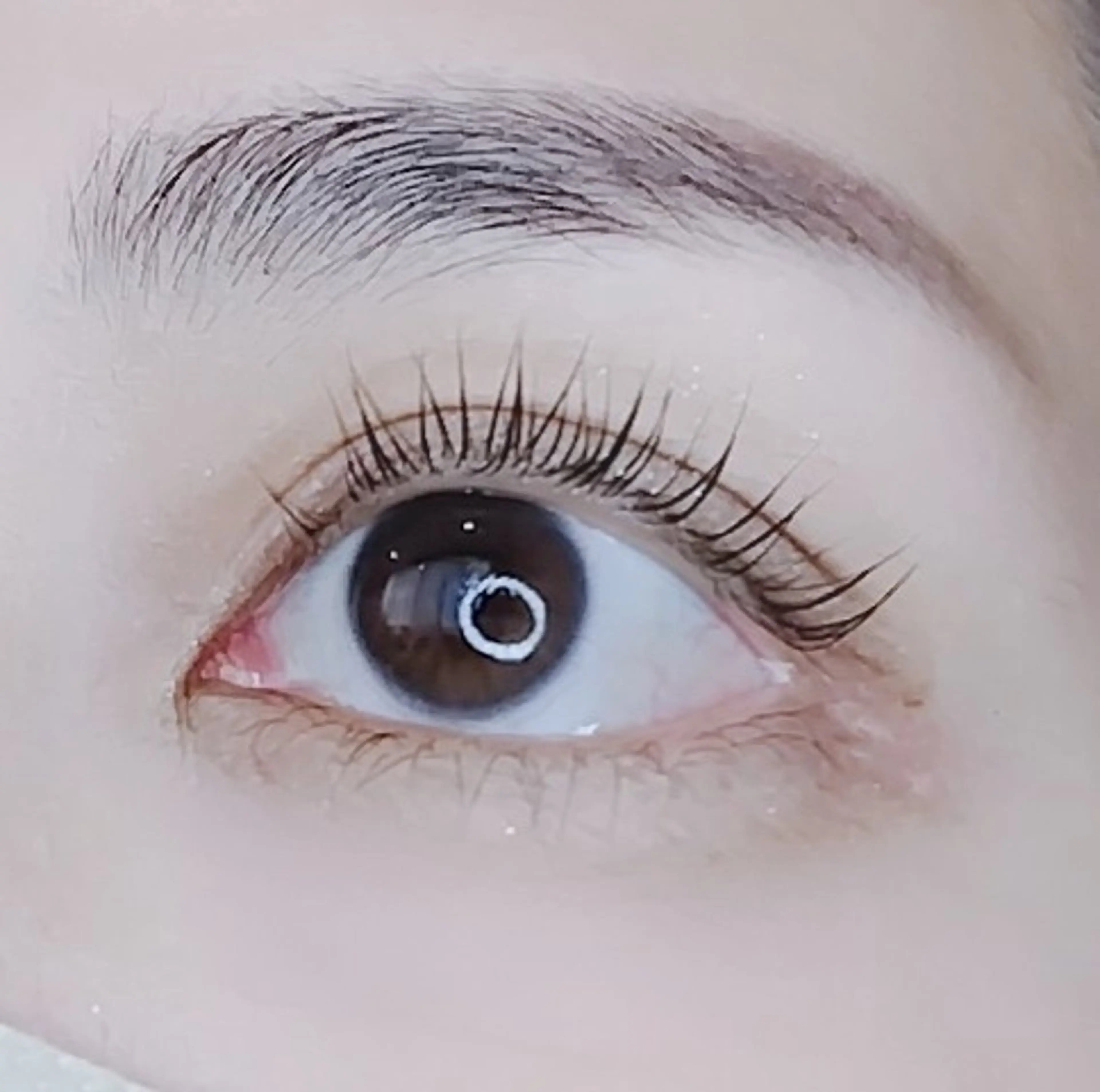 マツエク・マツパ マツパ MAXまつ毛&  フェイシャルのマツエク・マツパデザイン