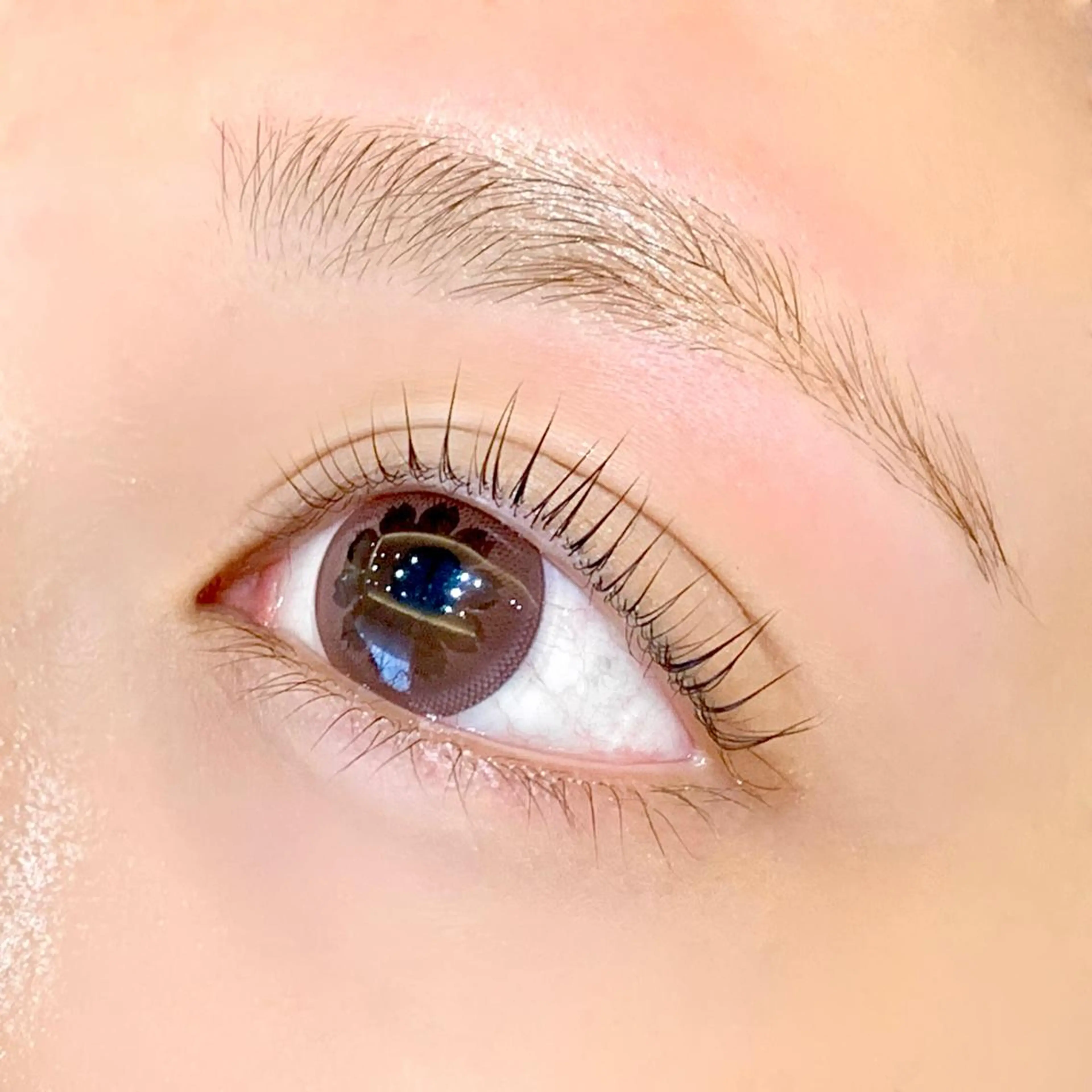 🌟💎【上下セット】パリジェンヌラッシュリフト×下エクステ40本▶︎ロッド変更、エクステ本数追加+500円の写真