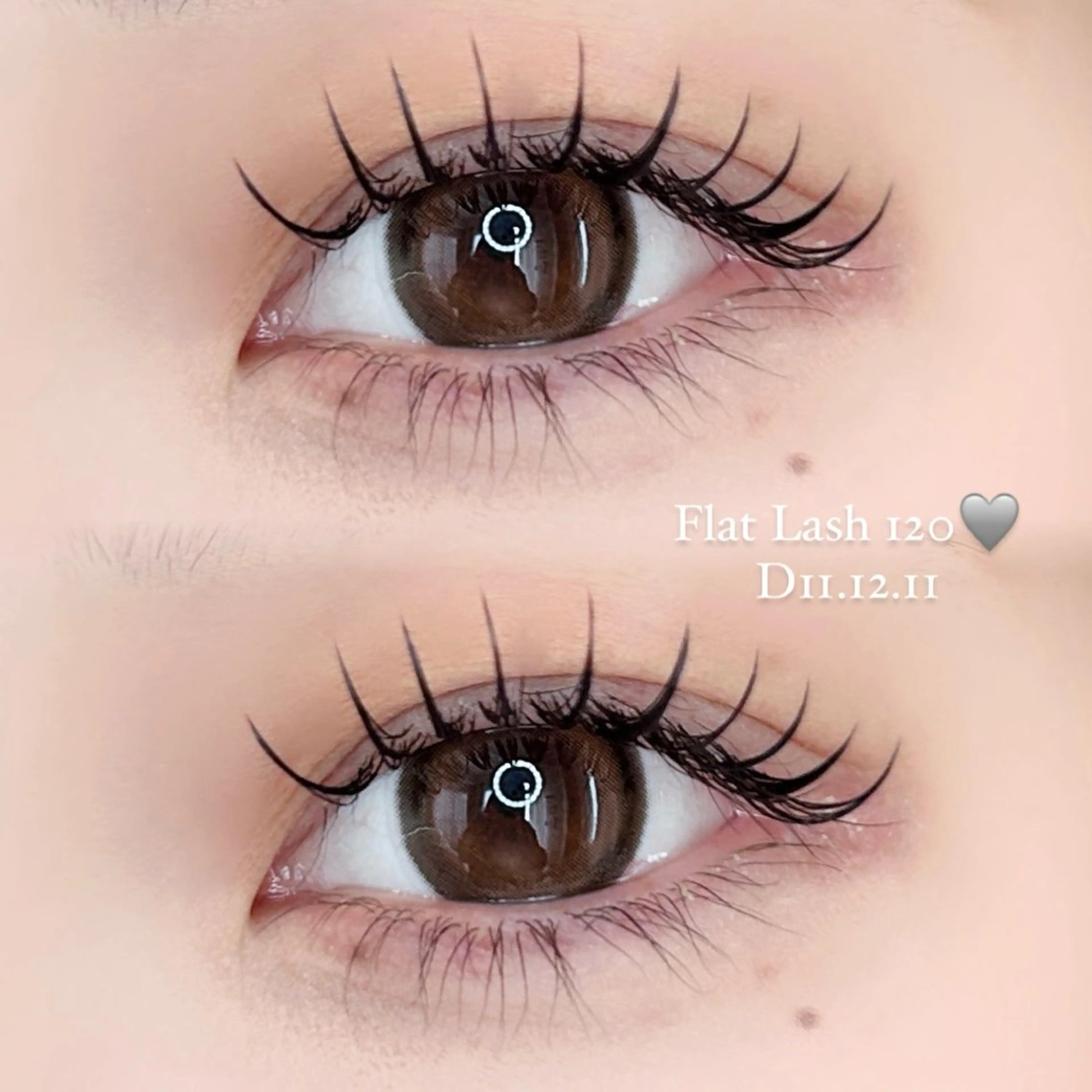 オフなし🩶フラットラッシュ🩶120本♡の写真