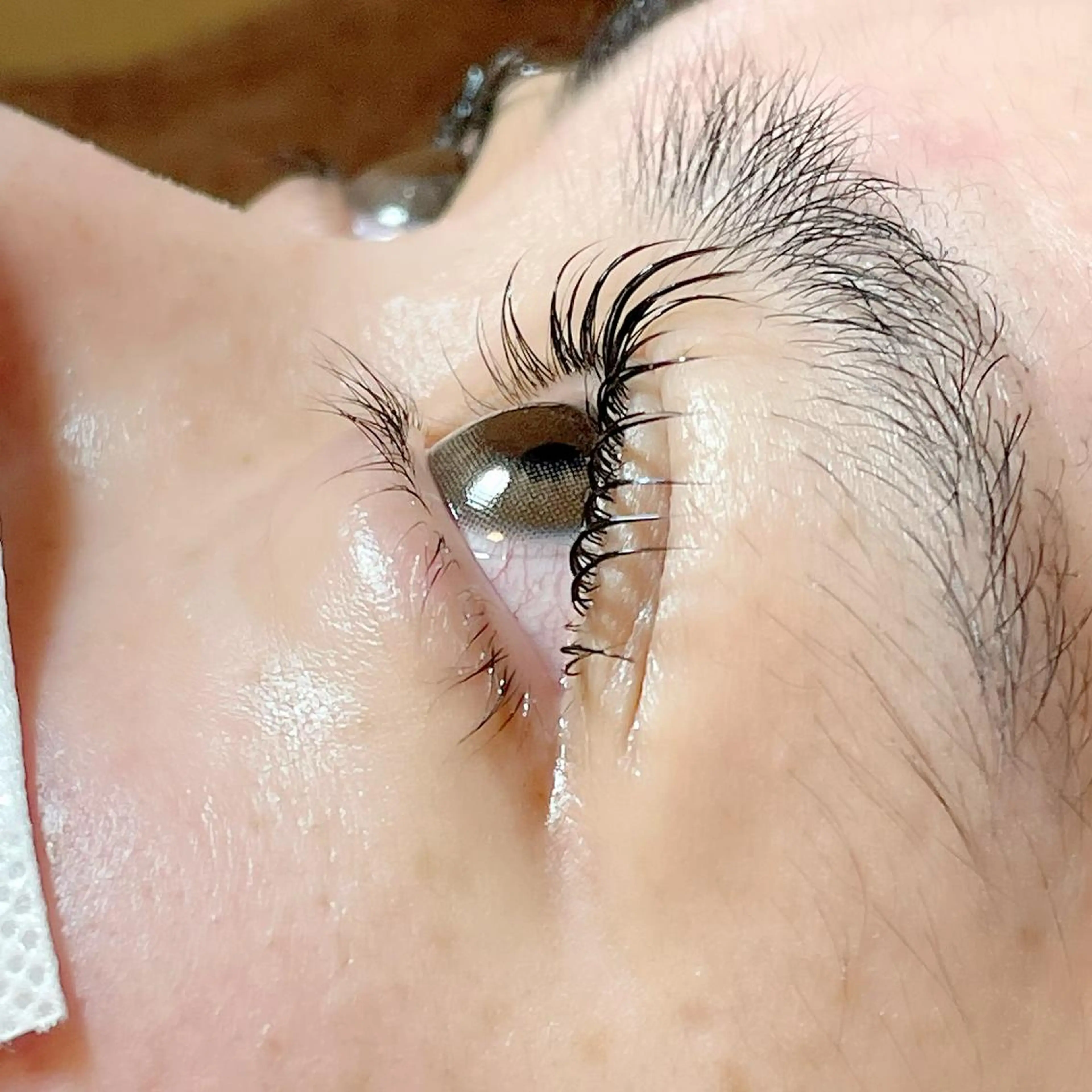 マツエク・マツパ マツパ spica🌛 .のマツエク・マツパデザイン