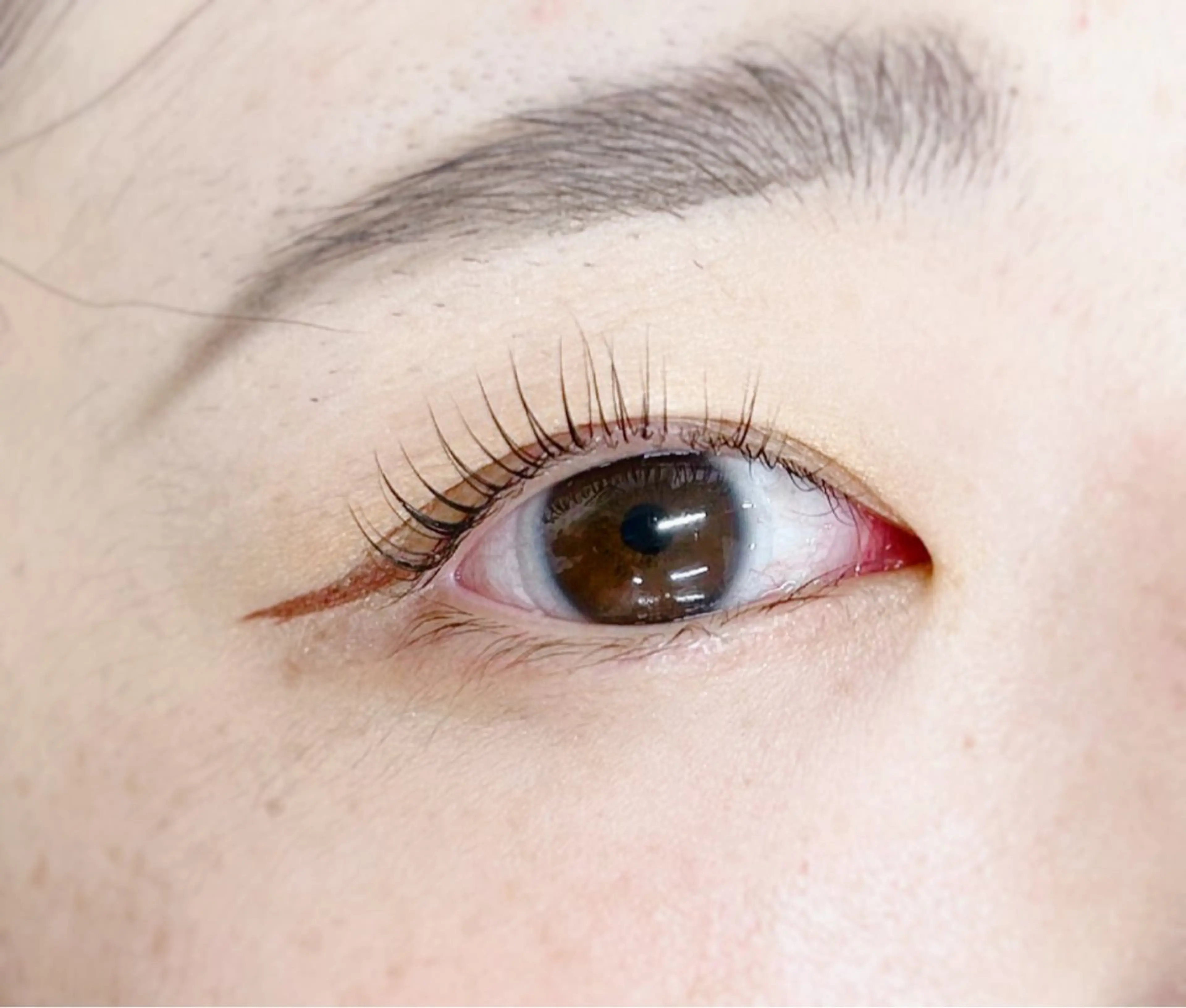 🫧ラッシュリフト🫧+コーティング付き！の写真