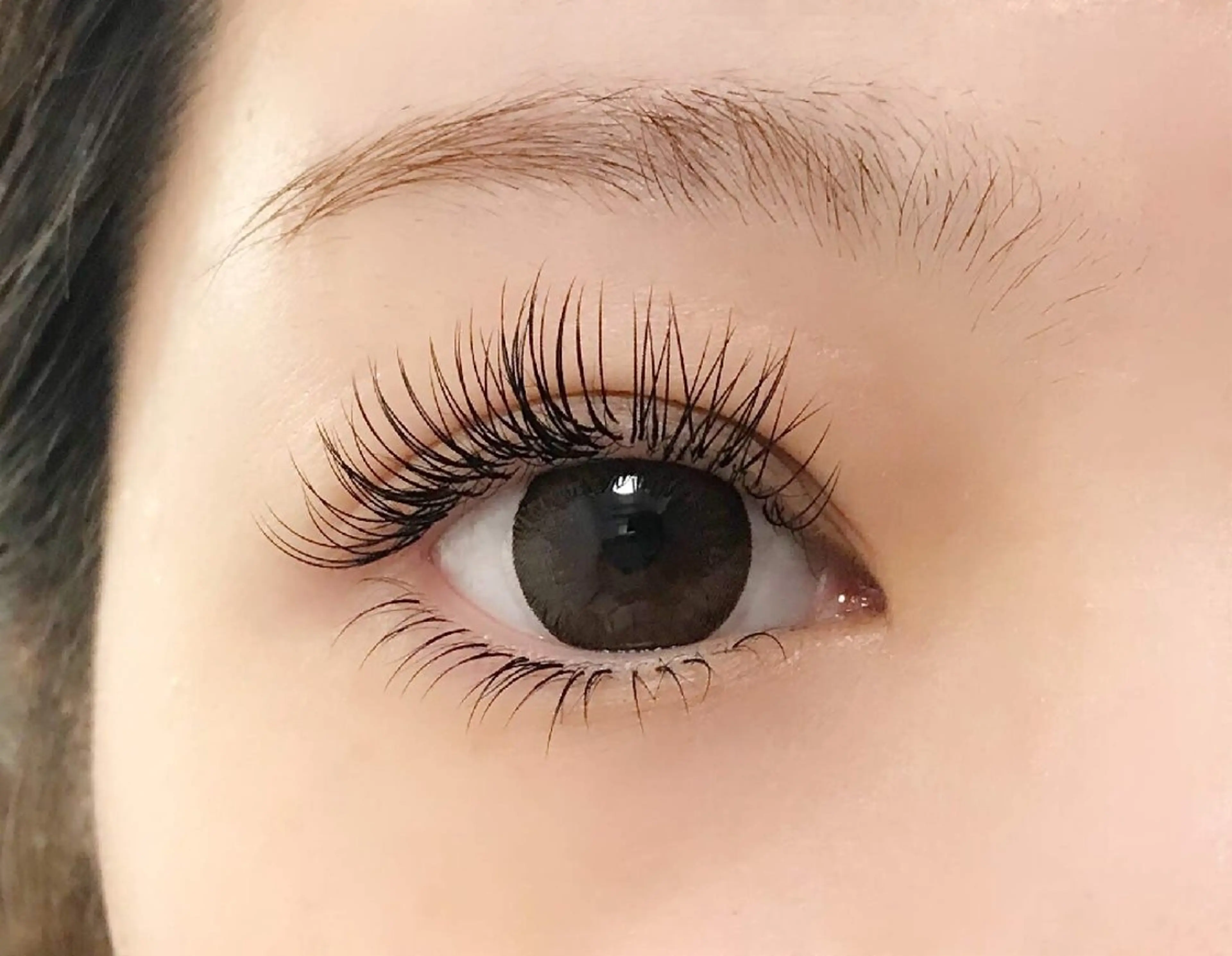 ※目元写真&口コミ必須/18~25歳までパッチリ二重瞼の方限定/まつ毛エクステ撮影モデル上下/1日1名限定の写真