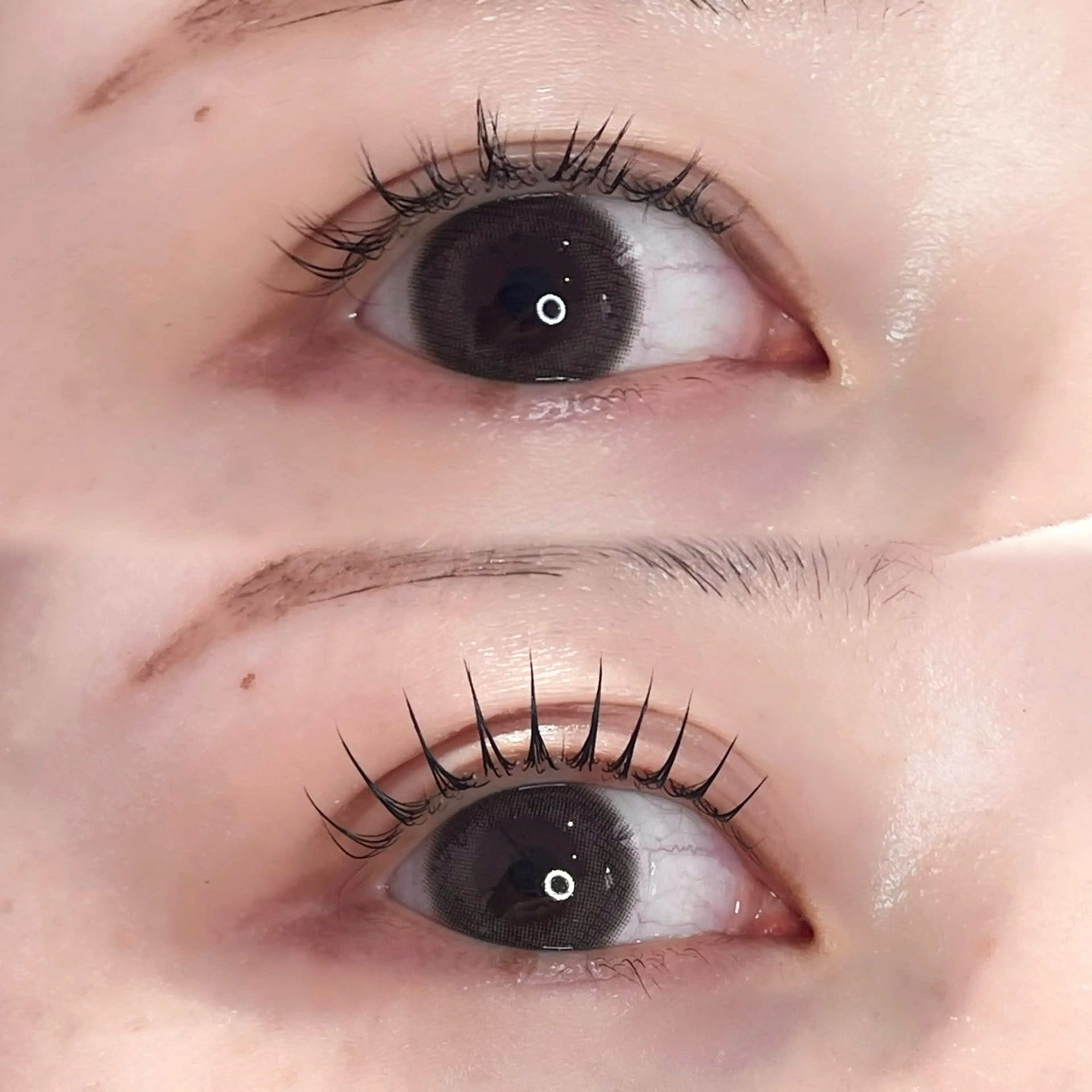 マツエク・マツパ パリジェンヌラッシュリフト Suzuka🩰 BELMEのマツエク・マツパデザイン