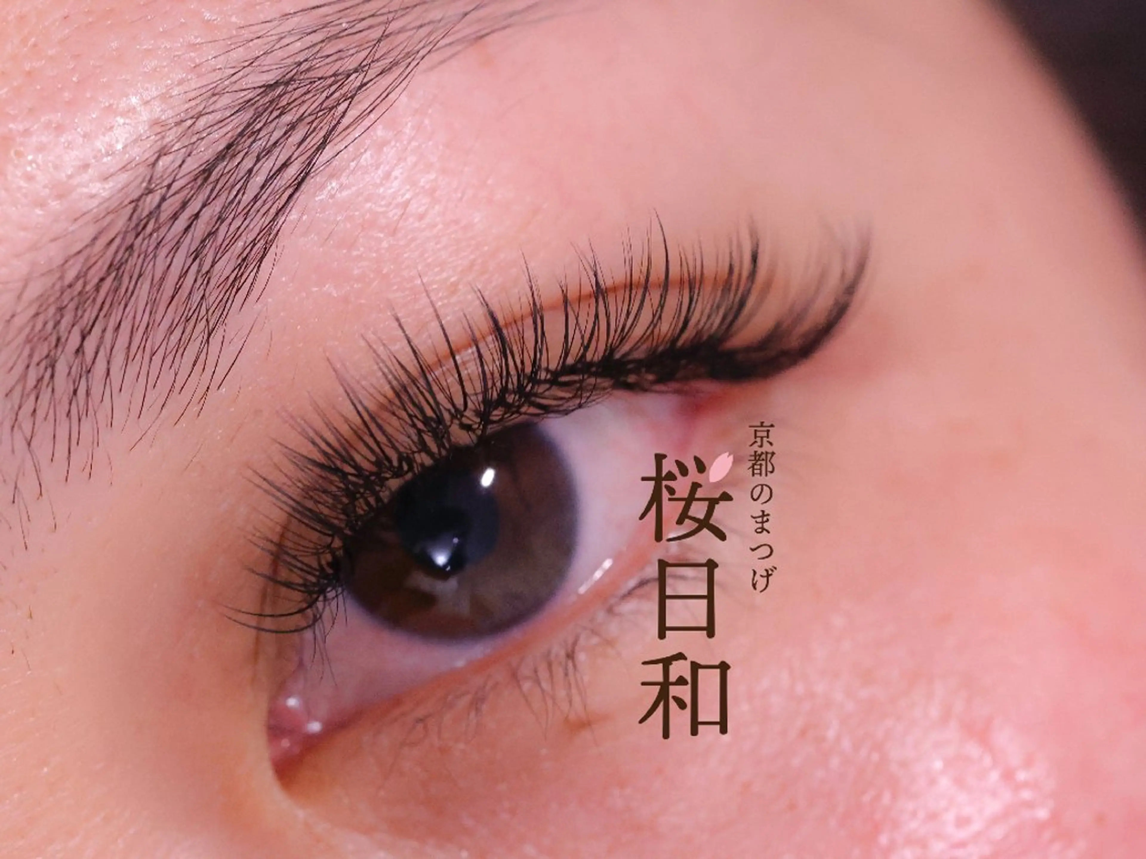 マツエク・マツパ マツエク 京都のまつげ桜日和 小島美桜のマツエク・マツパデザイン