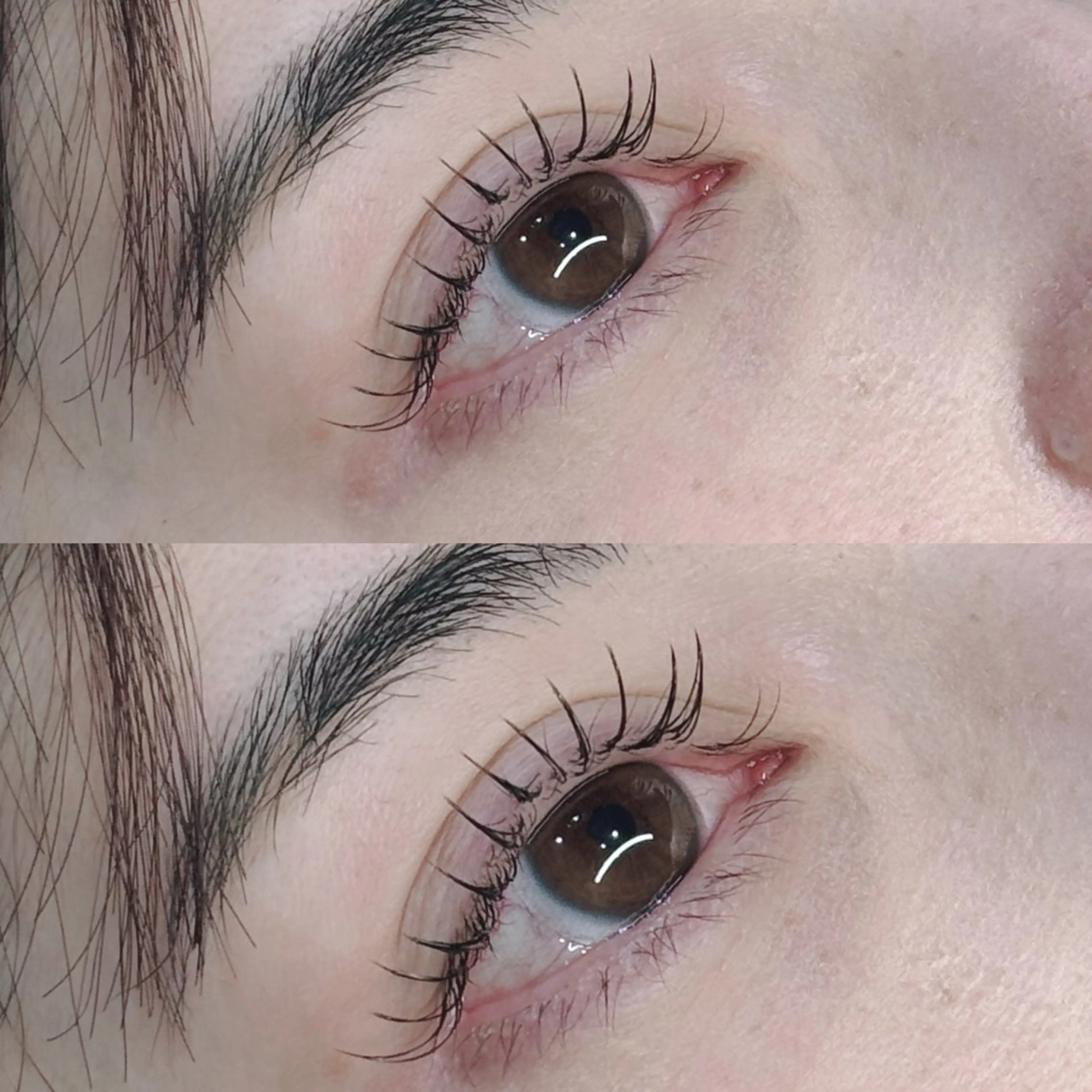 マツエク・マツパ Cカール August 大野のエステ・リラクイメージ