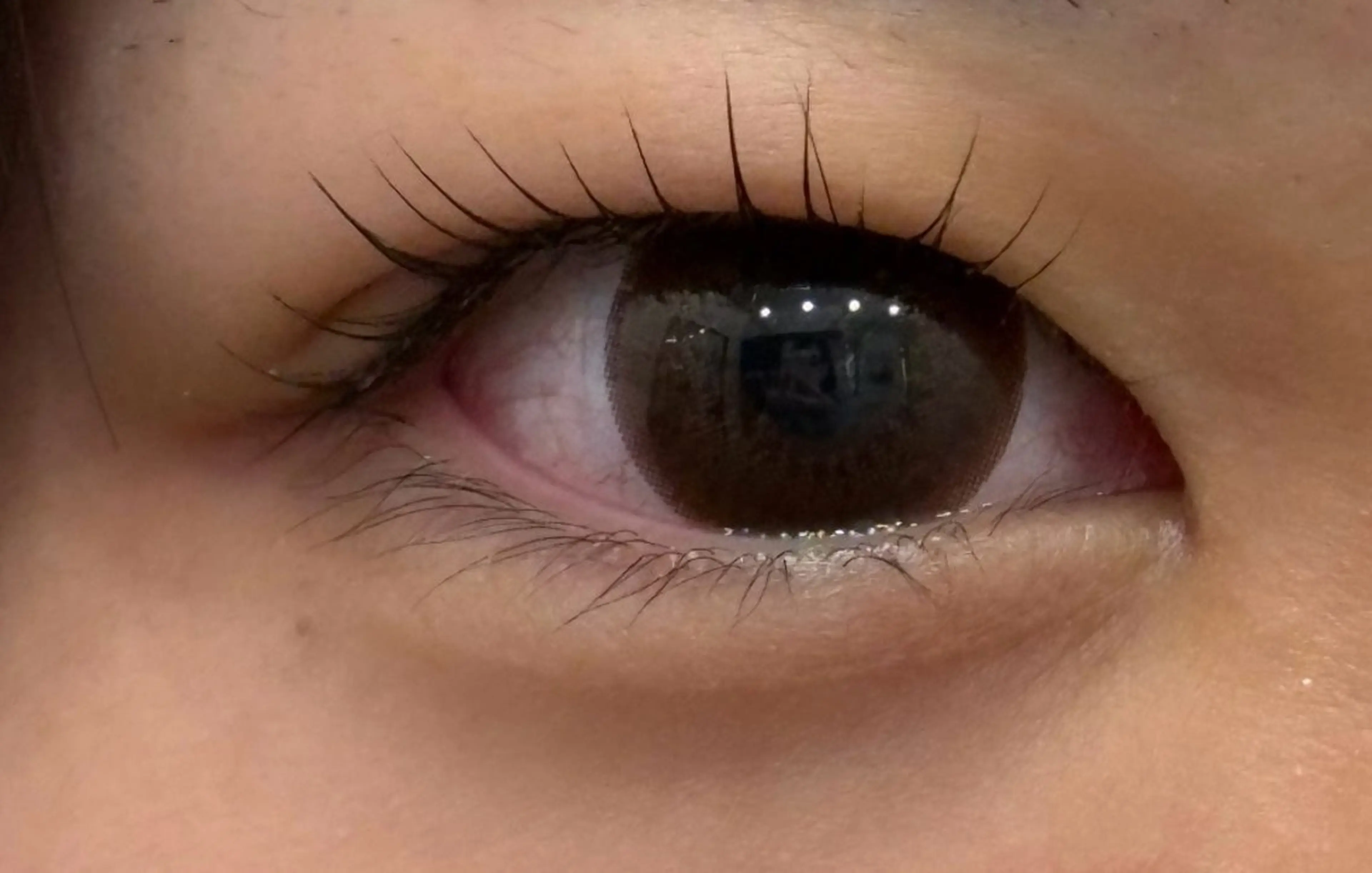 マツエク・マツパ マツパ BEAUTY LAND 才記🌻のマツエク・マツパデザイン