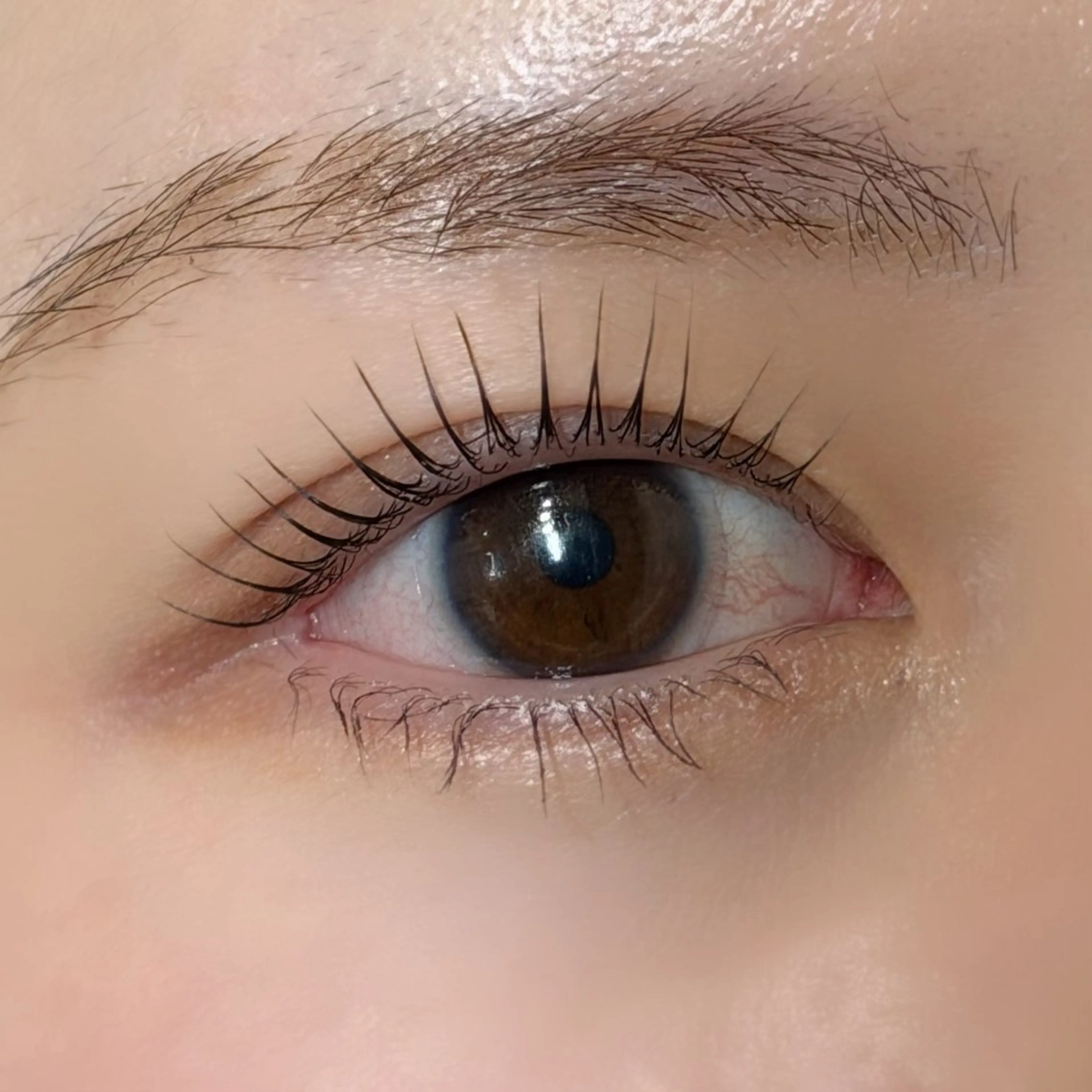 【U24学割】🫧まつ毛パーマ(上のみ)🫧束感コーティング仕上げの写真