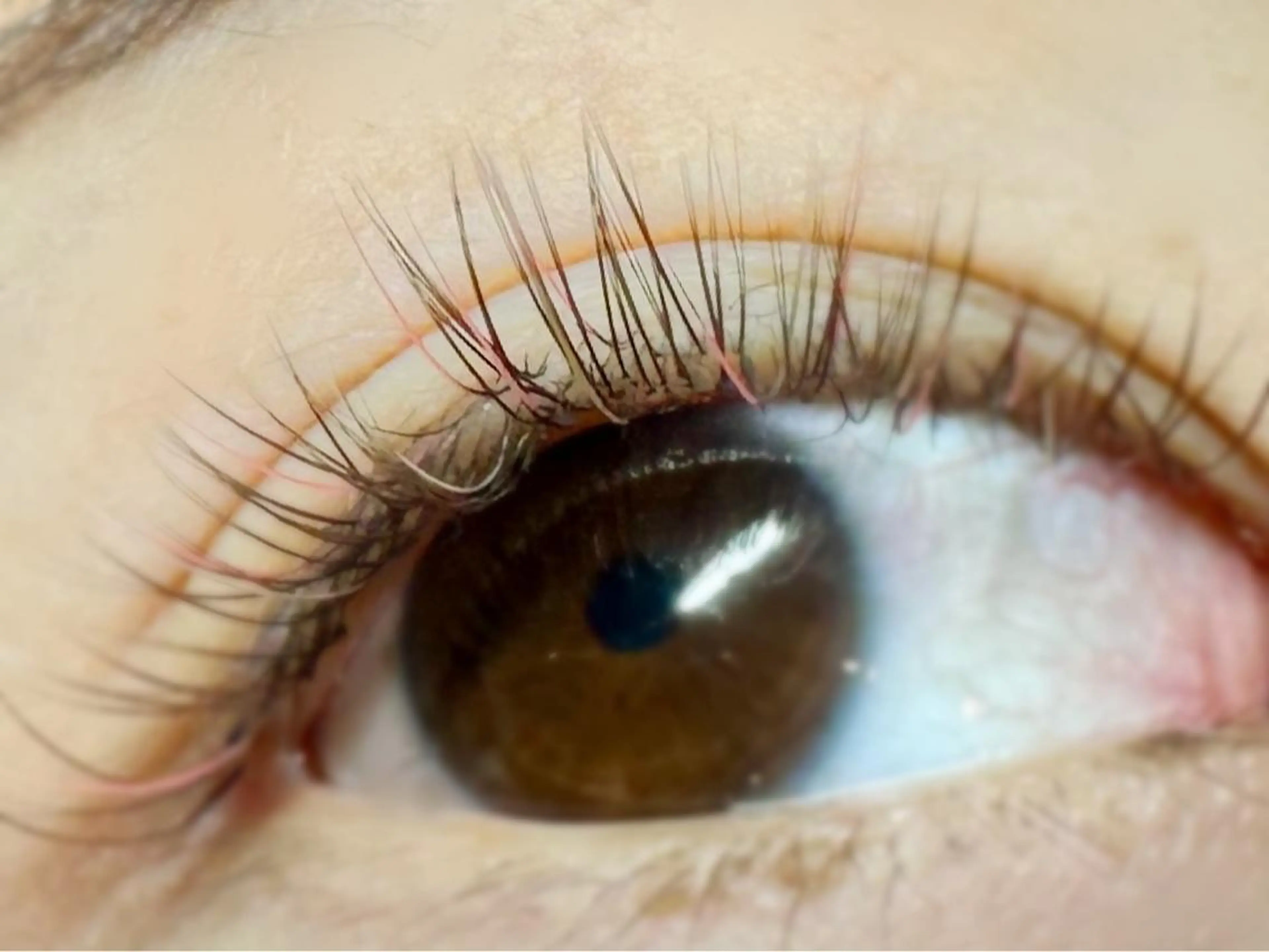 マツエク・マツパ komatsu eyelash恵比寿のマツエク・マツパデザイン