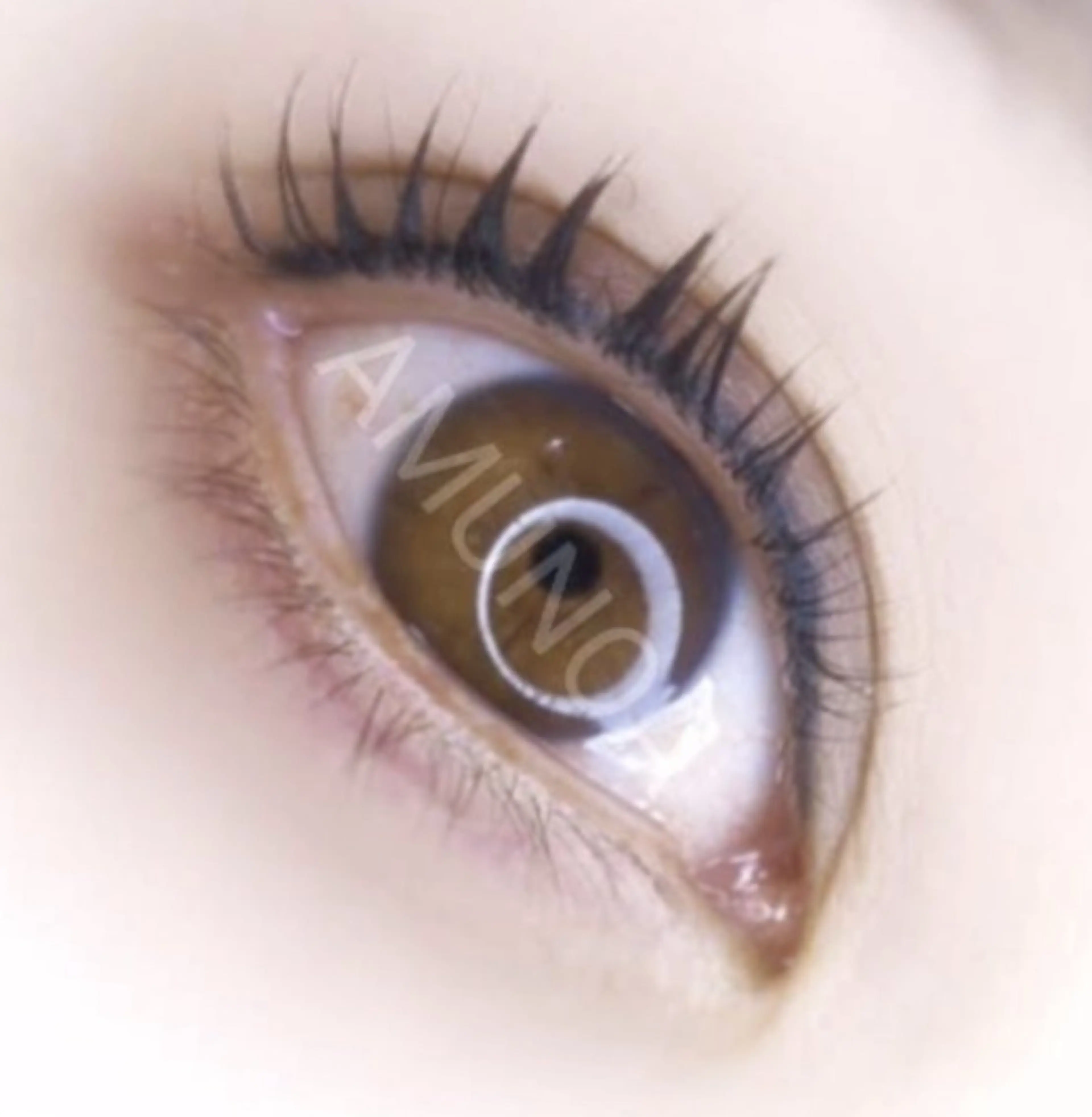 ✨トリートメント付き✨マスカラパーマ✨の写真