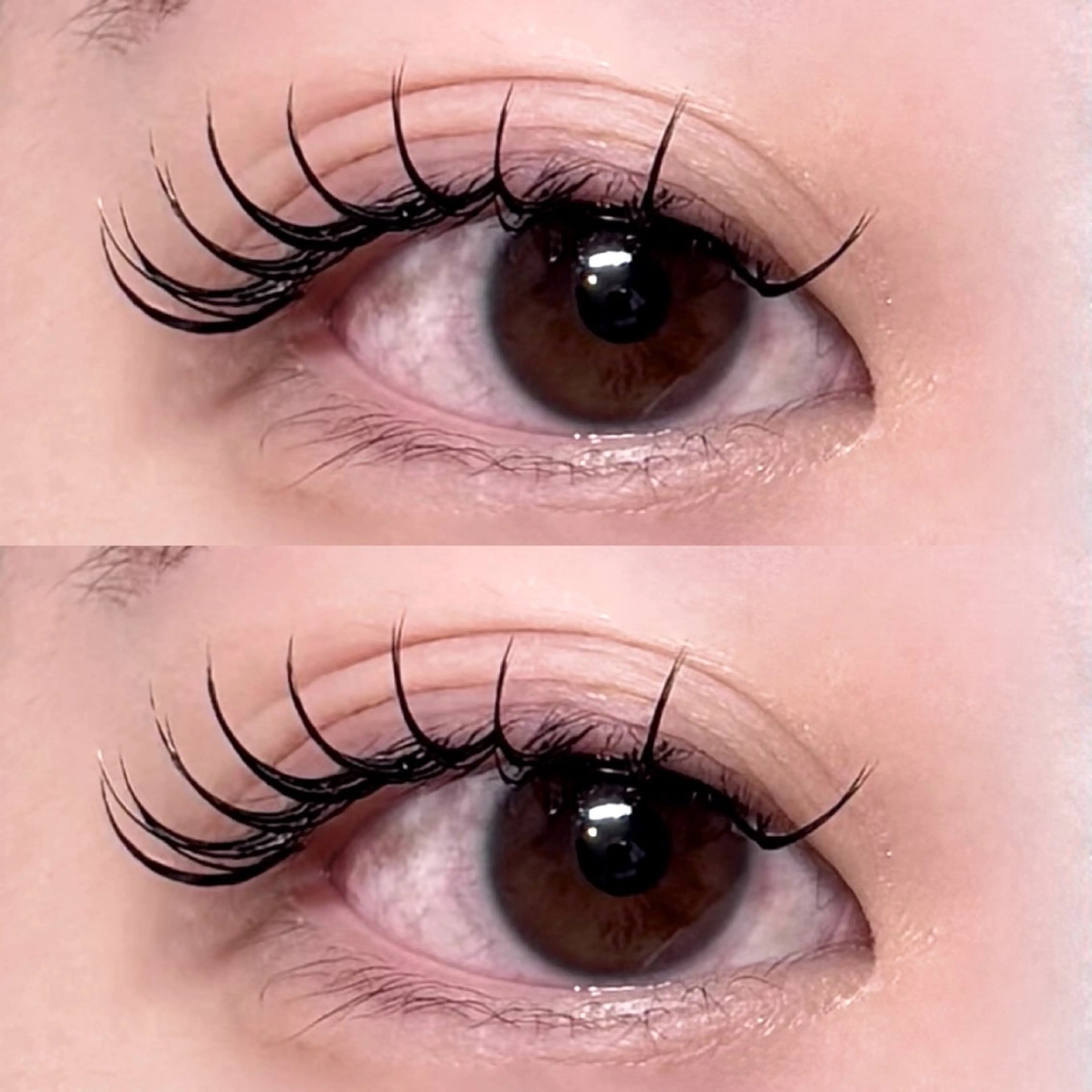 マツエク・マツパ マツエク anna /国分寺のマツエク・マツパデザイン