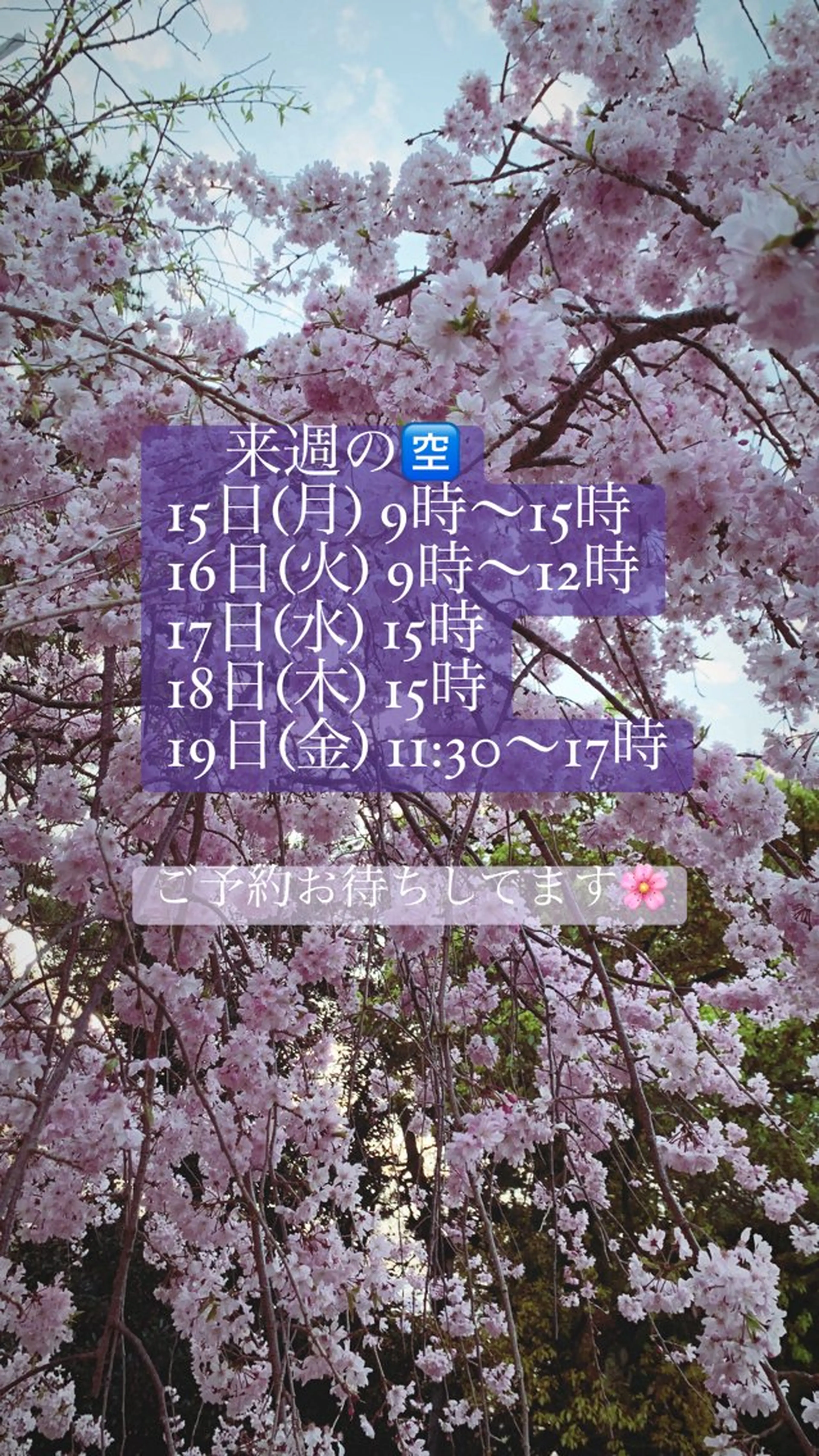 清水 由希のエステ・リラクイメージ