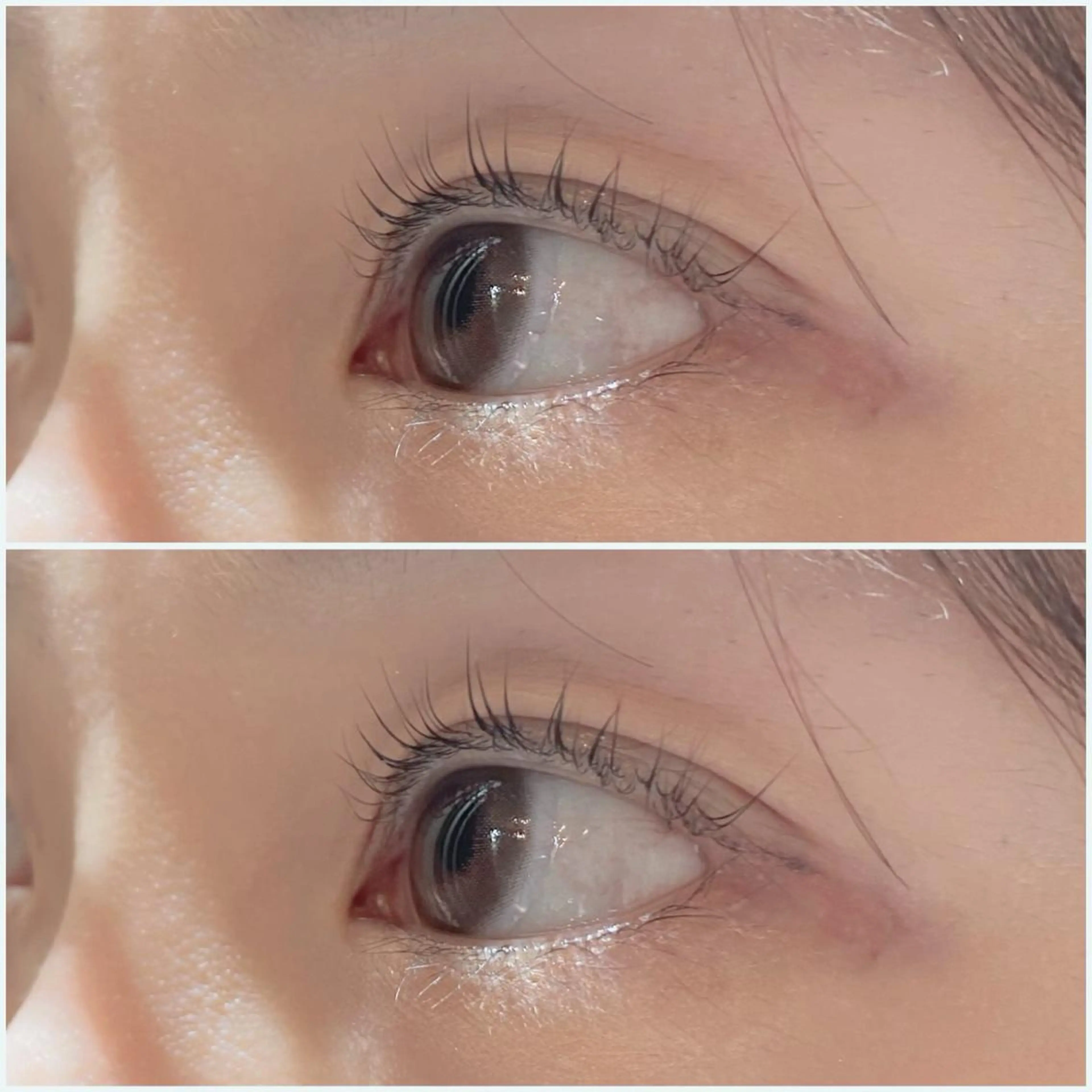 マツエク・マツパ パリジェンヌラッシュリフト 艶カラー/韓国風ヘア 🩵shioneのヘアスタイル