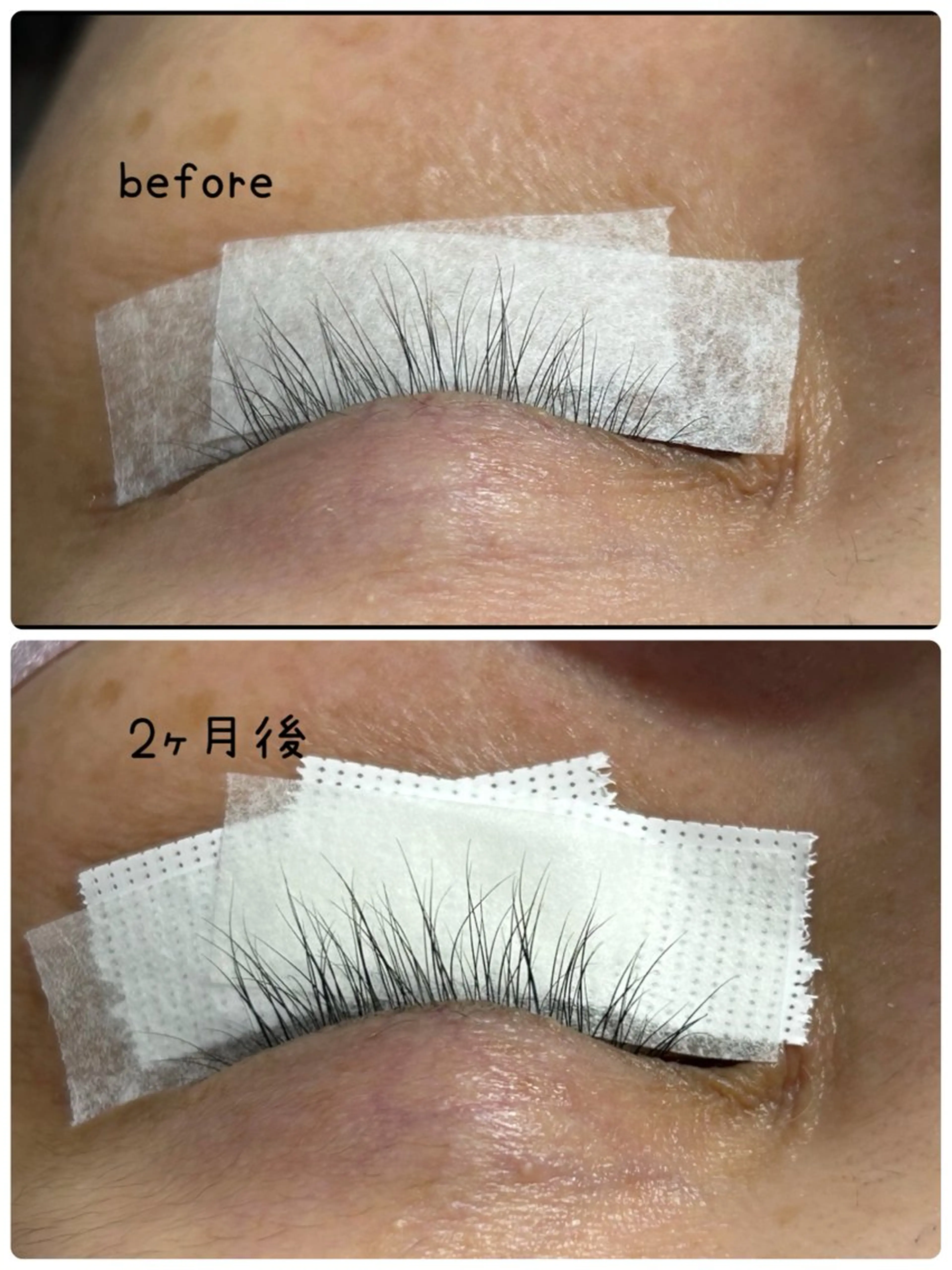 その他 Eyelash Boo所属・Eyelash Booのマツエク・マツパデザイン